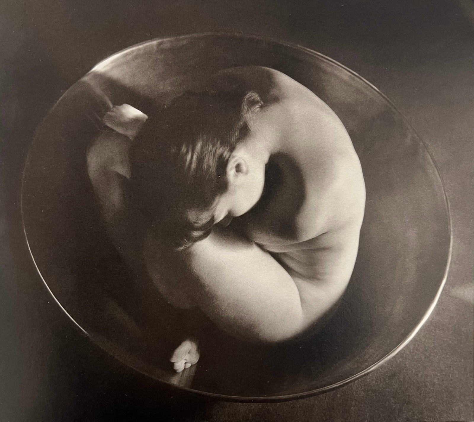 Ruth Bernhard, Embryo, 1934: Ruth Bernhard (1905-2006) was the daughter of Lucien Bernhard, a graphic designer known as "the father of the German poster." After studying for two years at the Berlin Academy of Art, she came to New