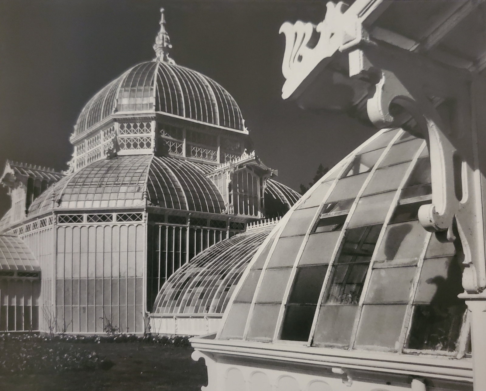 Ansel Adams, Conservatory, Golden Gate Park, San Francisco, California, 1962: Photographer: Ansel Adams (American, 1902 - 1984) - Internationally renowned American photographer. One of the most influential artists in photographic history. Title: "Conservatory, Golden Gate Park,