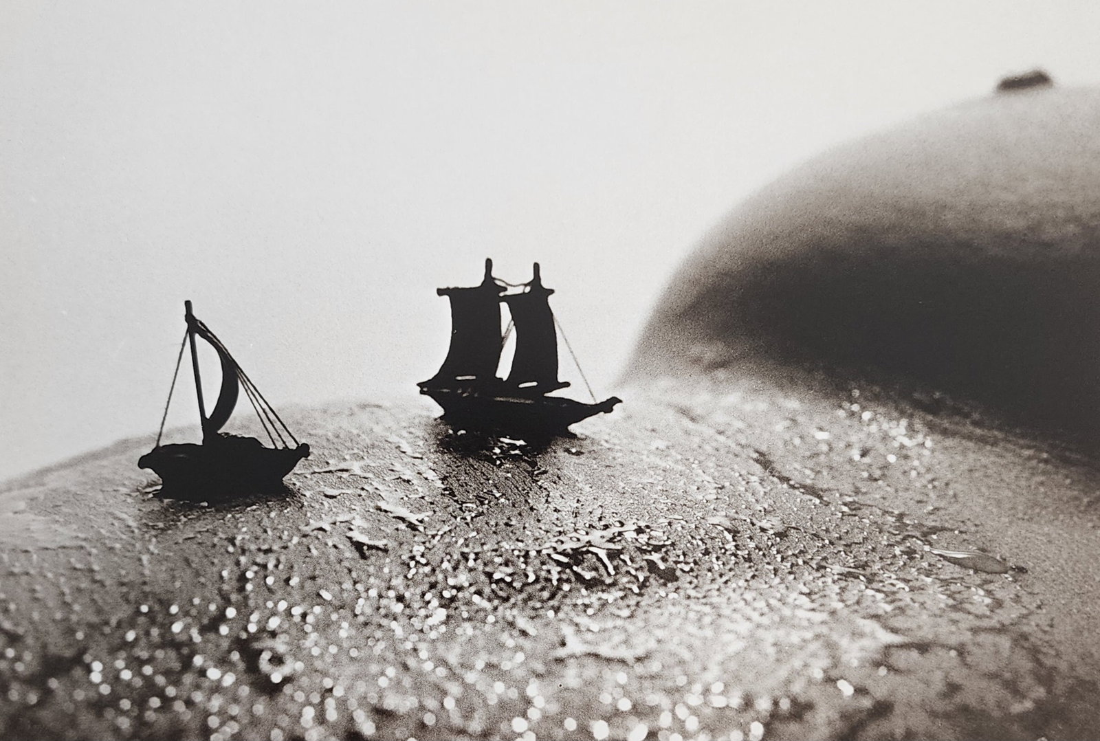 Allan Teger 'Bodyscapes I' 1995: Artist/Photographer: Allan I. Teger Title/Subject: Bodyscapes Type Of Print: Authentic Sheet Fed Photogravure/Heliogravure. Date Of Print: 2012 Paper: Medium weight, satin/matte finish. Print Origin: 
