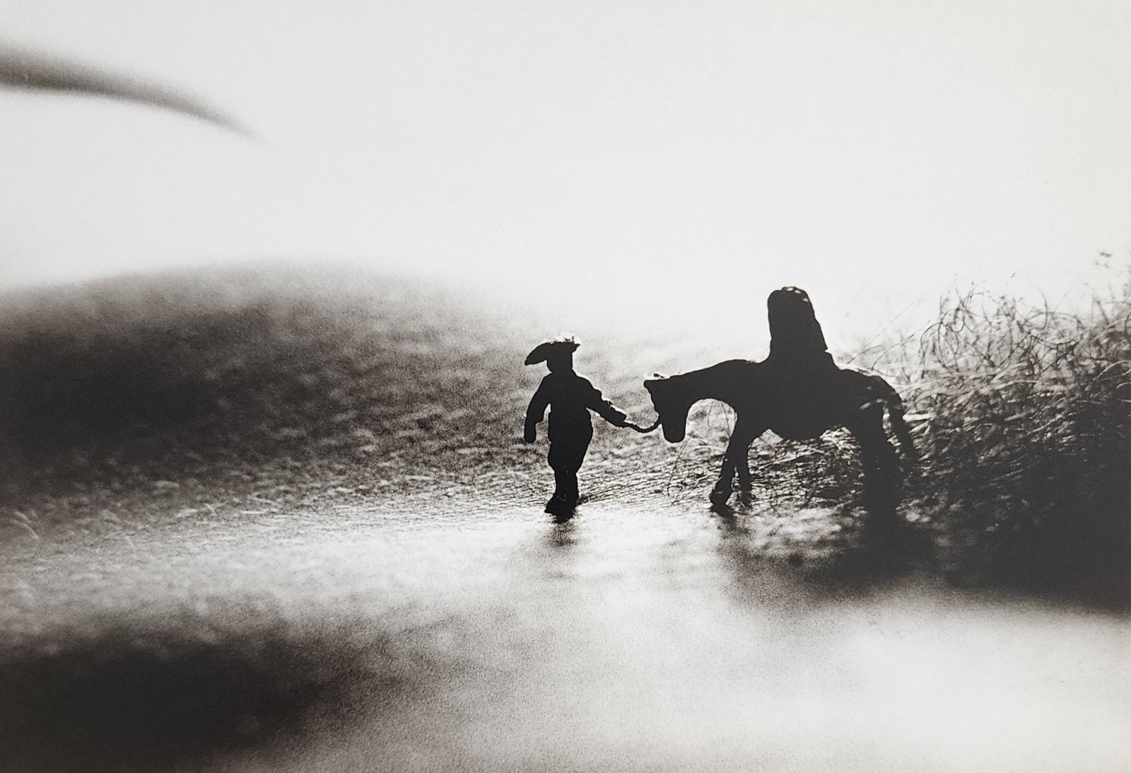 Allan Teger 'Bodyscapes I' 1995: Artist/Photographer: Allan I. Teger Title/Subject: Bodyscapes Type Of Print: Authentic Sheet Fed Photogravure/Heliogravure. Date Of Print: 2012 Paper: Medium weight, satin/matte finish. Print Origin: 
