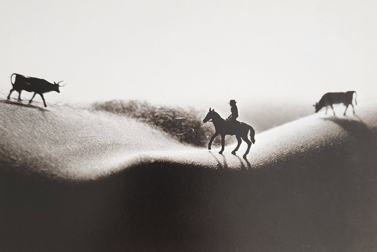 Allan Teger 'Bodyscapes I' 1995: Artist/Photographer: Allan I. Teger Title/Subject: Bodyscapes Type Of Print: Authentic Sheet Fed Photogravure/Heliogravure. Date Of Print: 2012 Paper: Medium weight, satin/matte finish. Print Origin: 