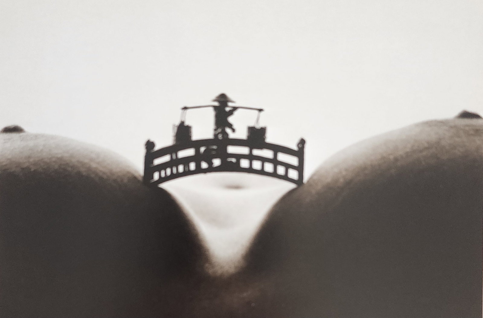 Allan Teger 'Bodyscapes I' 1995: Artist/Photographer: Allan I. Teger Title/Subject: Bodyscapes Type Of Print: Authentic Sheet Fed Photogravure/Heliogravure. Date Of Print: 2012 Paper: Medium weight, satin/matte finish. Print Origin: 