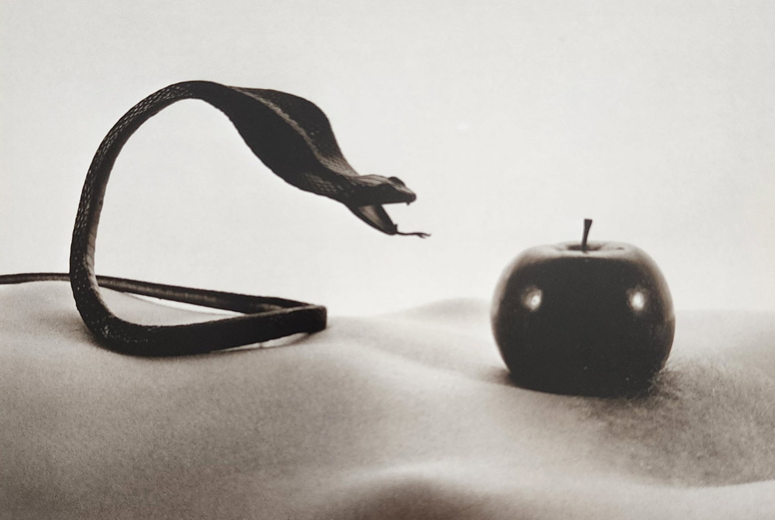 Allan Teger 'Bodyscapes I' 1995: Artist/Photographer: Allan I. Teger Title/Subject: Bodyscapes Type Of Print: Authentic Sheet Fed Photogravure/Heliogravure. Date Of Print: 2012 Paper: Medium weight, satin/matte finish. Print Origin: 