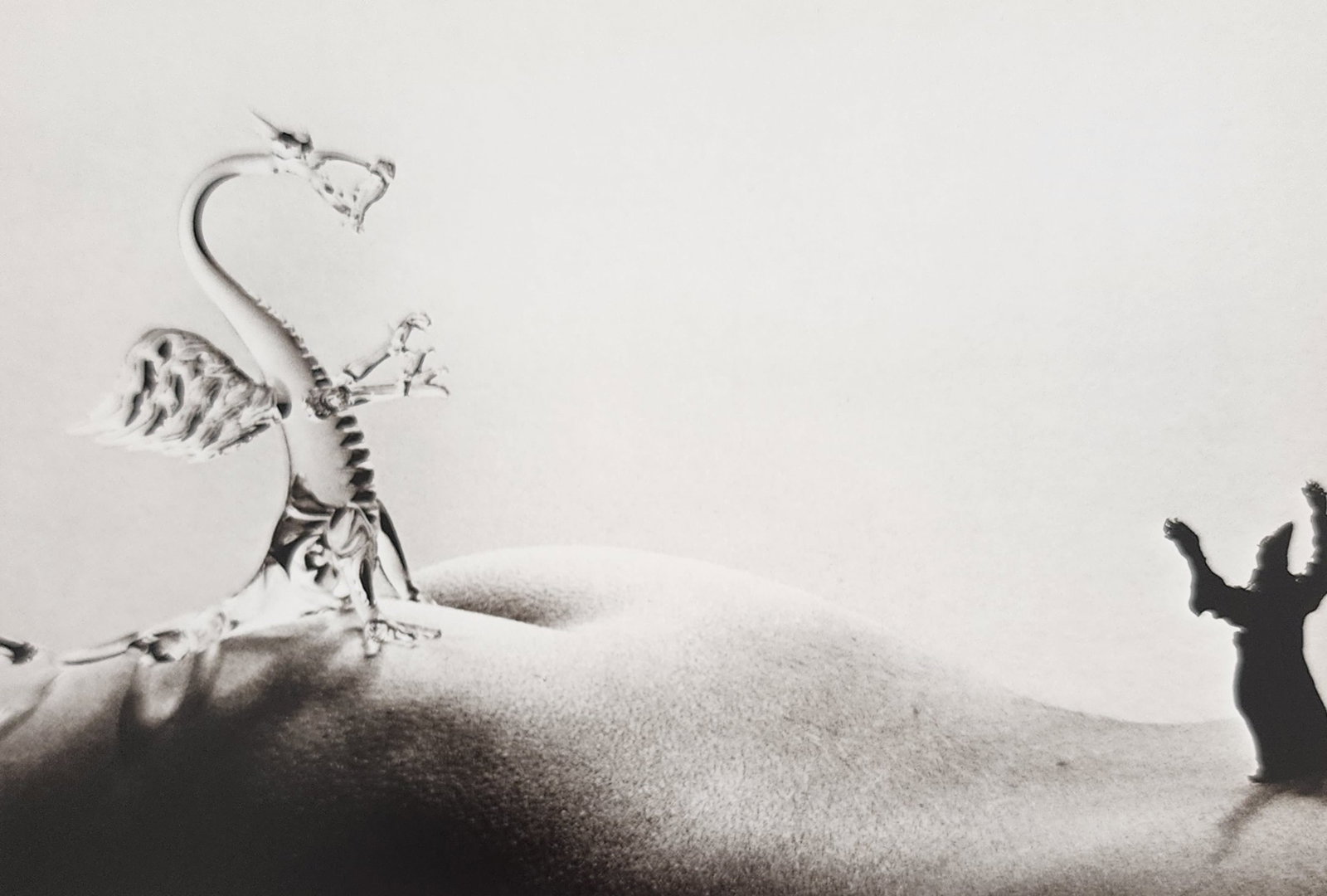 Allan Teger 'Bodyscapes I' 1995: Artist/Photographer: Allan I. Teger Title/Subject: Bodyscapes Type Of Print: Authentic Sheet Fed Photogravure/Heliogravure. Date Of Print: 2012 Paper: Medium weight, satin/matte finish. Print Origin: 