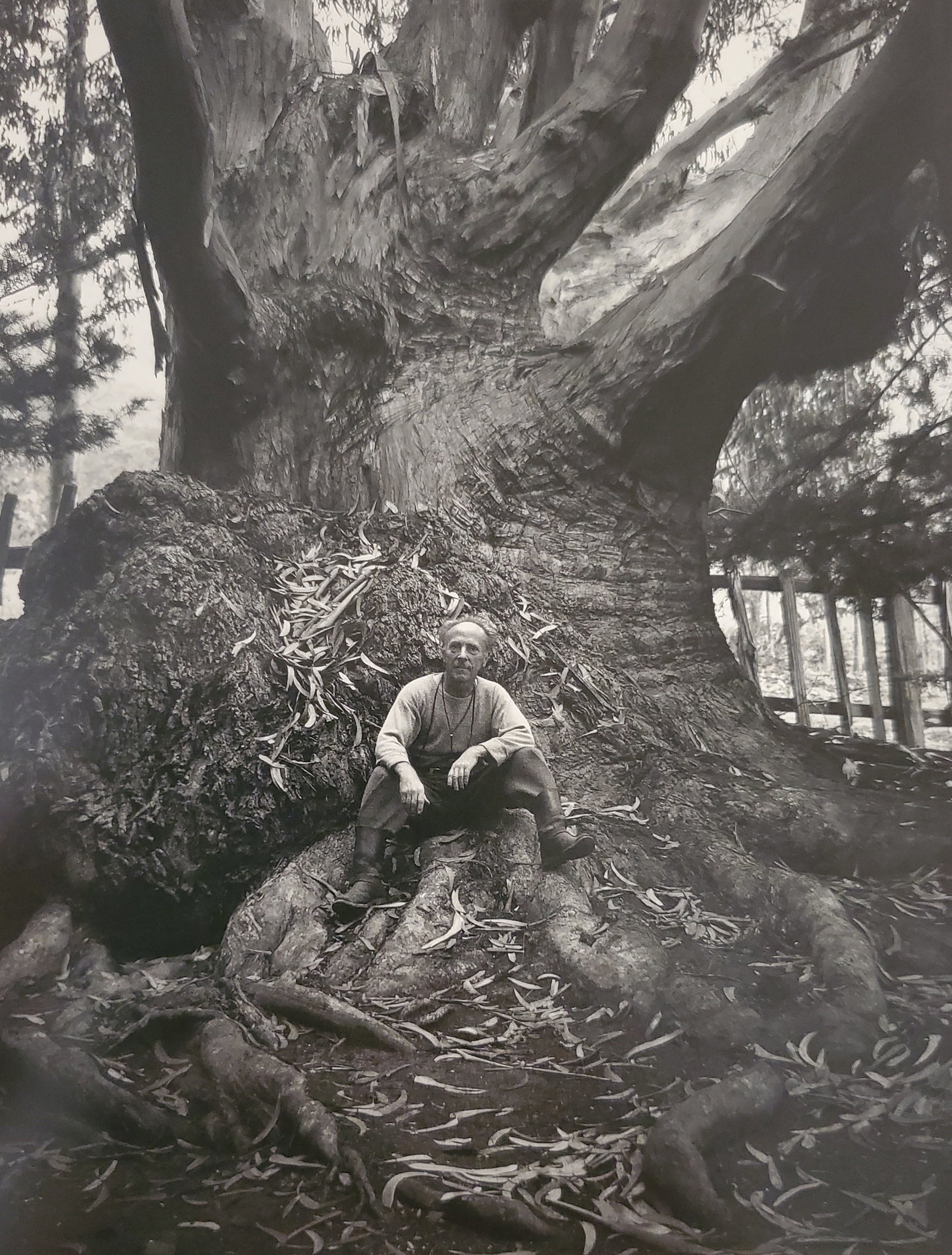 Ansel Adams, Edward Weston, Carmel Highlands, California, 1945: Photographer: Ansel Adams (American, 1902 - 1984) - Internationally renowned American photographer. One of the most influential artists in photographic history. Title: "Edward Weston, Carmel Highlands