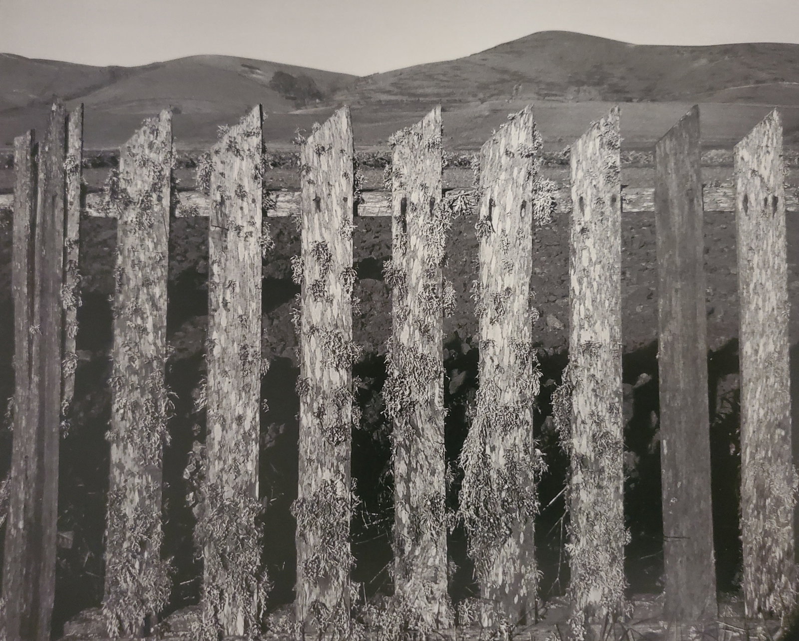 Ansel Adams, Fence Near Tomales Bay, California, 1936: Photographer: Ansel Adams (American, 1902 - 1984) - Internationally renowned American photographer. One of the most influential artists in photographic history. Title: "Fence Near Tomales Bay, Califor