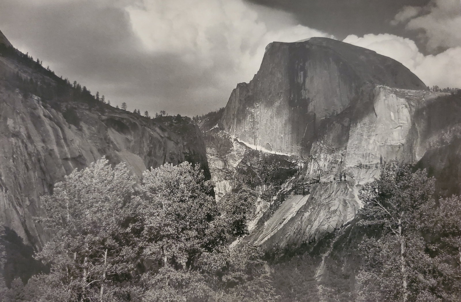 Ansel Adams, Half Dome, Cottonwood Trees, Yosemite National Park, California, C. 1932: Photographer: Ansel Adams (American, 1902 - 1984) - Internationally renowned American photographer. One of the most influential artists in photographic history. Title: "Half Dome, Cottonwood Trees, Yo