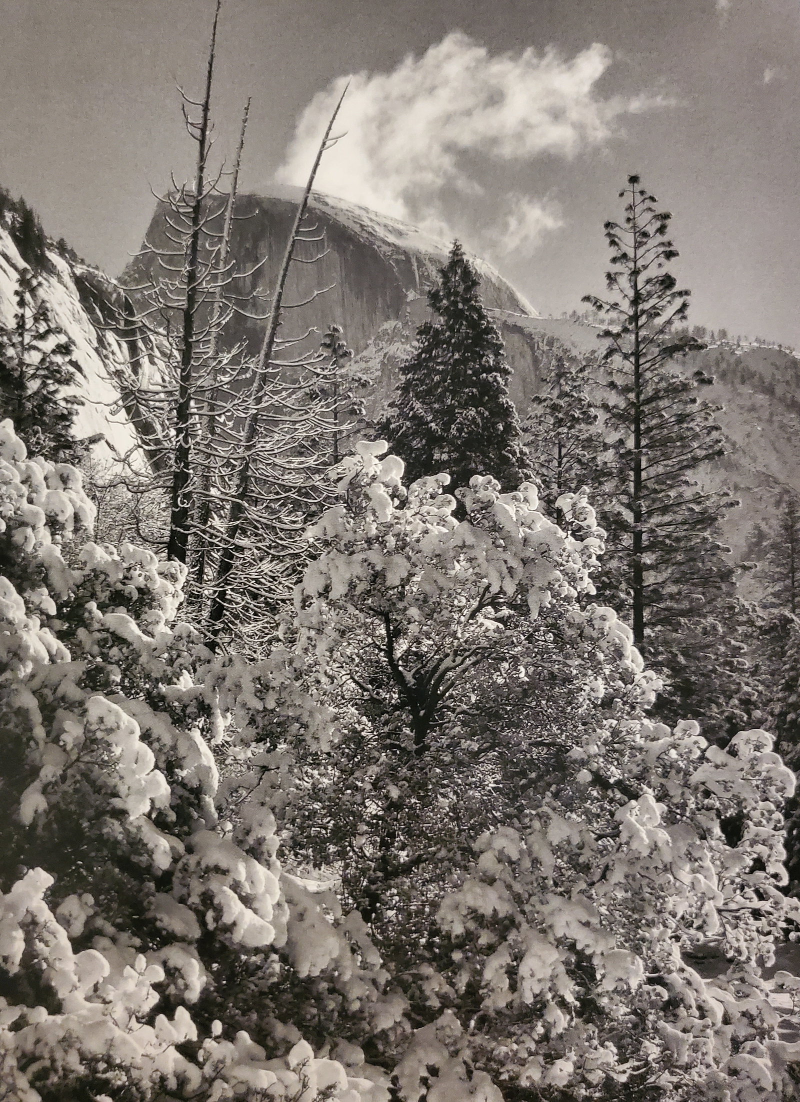 Ansel Adams, Half Dome, Winter, Yosemite National Park, California, 1940: Photographer: Ansel Adams (American, 1902 - 1984) - Internationally renowned American photographer. One of the most influential artists in photographic history. Title: "Half Dome, Winter, Yosemite Nat