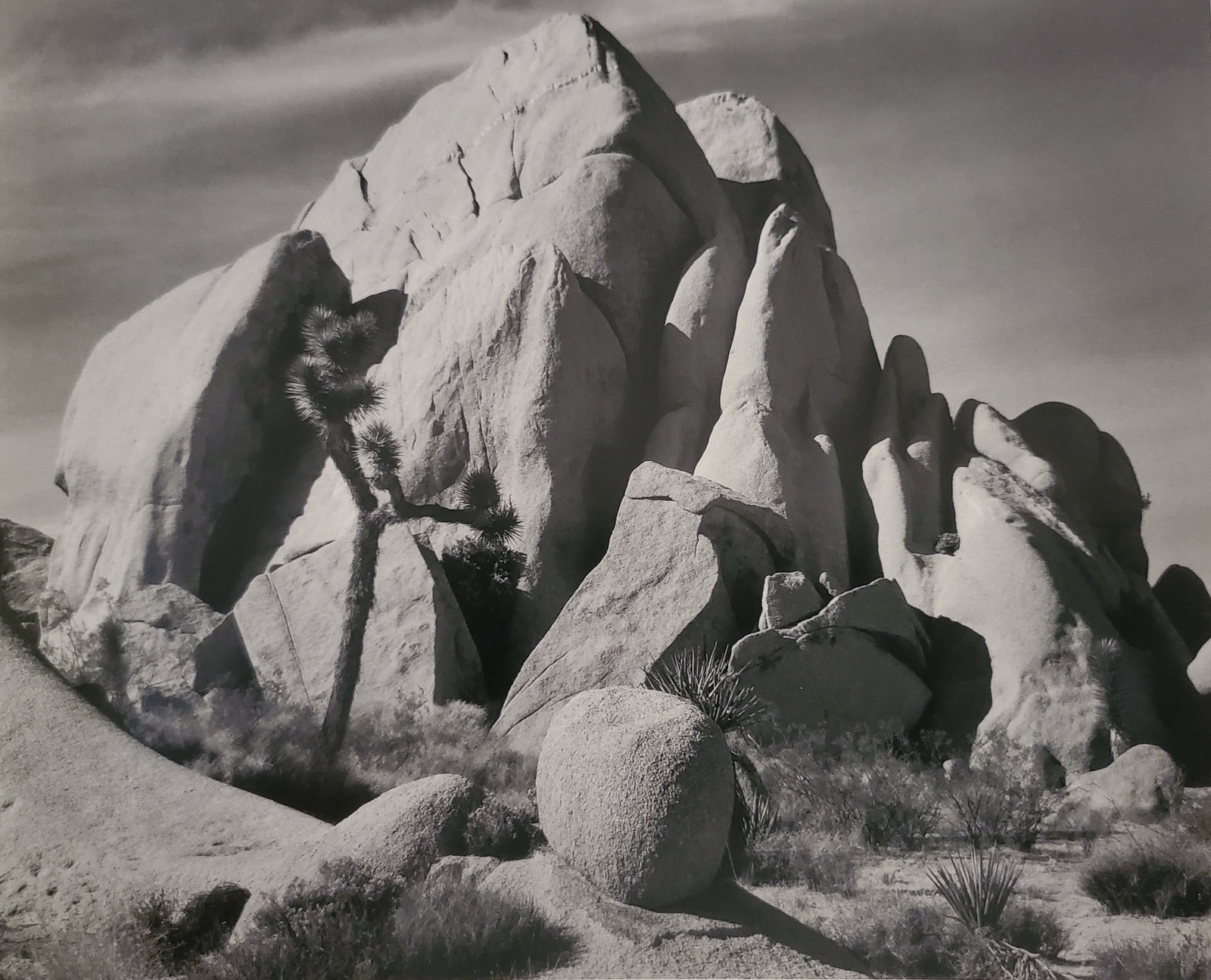 Ansel Adams, In Joshua Tree National Park, California, 1942: Photographer: Ansel Adams (American, 1902 - 1984) - Internationally renowned American photographer. One of the most influential artists in photographic history. Title: "In Joshua Tree National Park, C