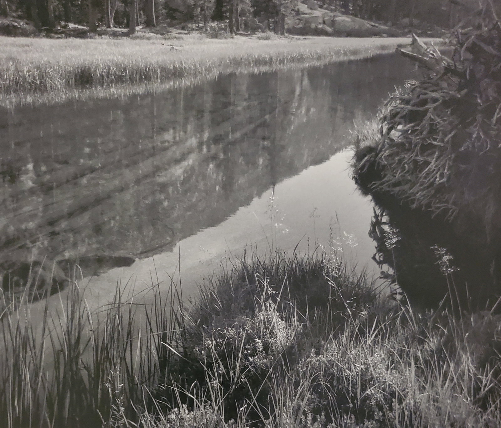 Ansel Adams, Meadow and Stream, Lyell Fork of the Merced River, Yosemite National Park, California,: Photographer: Ansel Adams (American, 1902 - 1984) - Internationally renowned American photographer. One of the most influential artists in photographic history. Title: "Meadow and Stream, Lyell Fork o