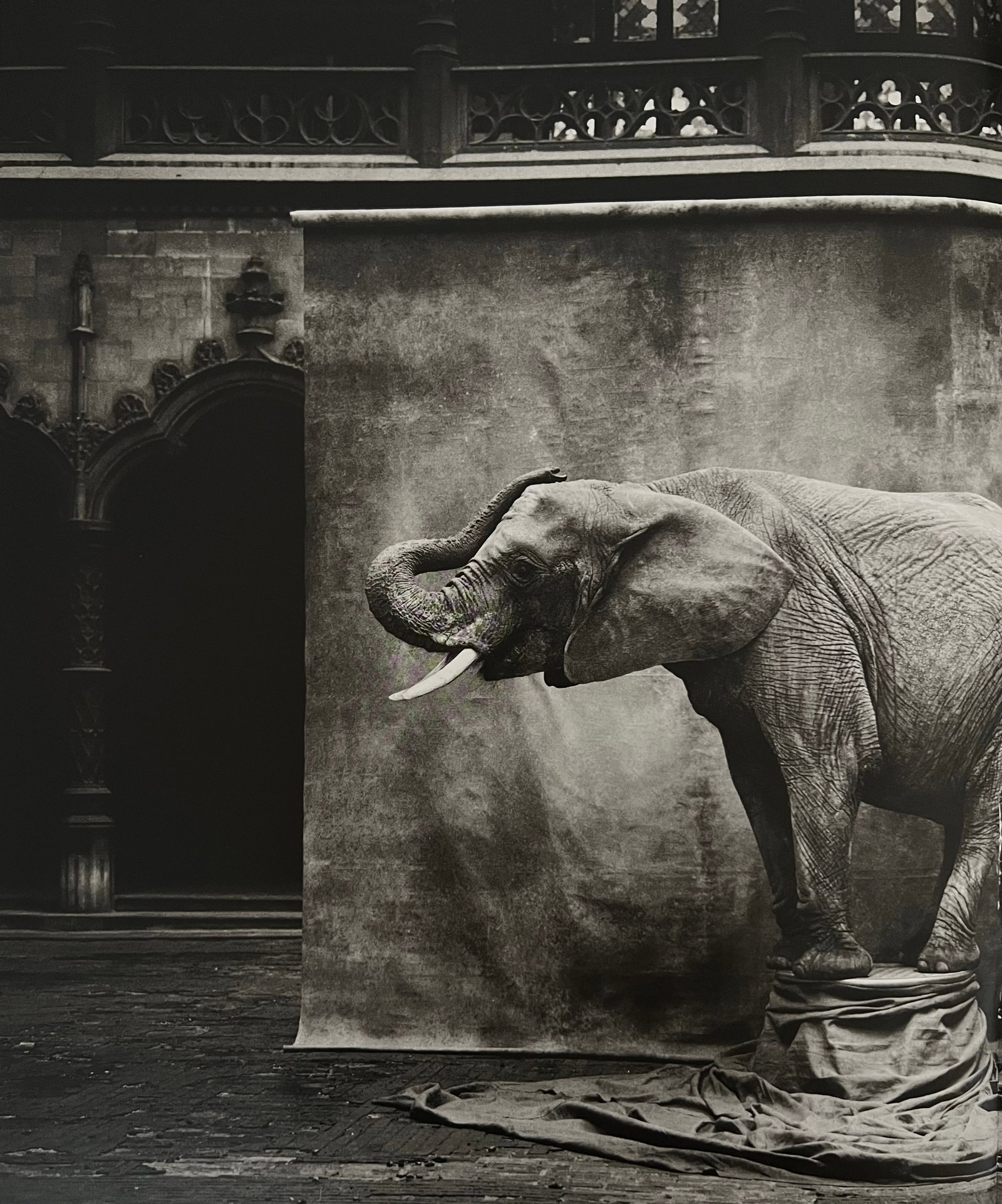 Marc Lagrange, Bubu, 2000's: Photographer: Marc Lagrange was a Belgian photographer known for his nude portraits of female figures. Lagrange created dream-like and fantastical narrative pictures populated by beautiful nudes that 