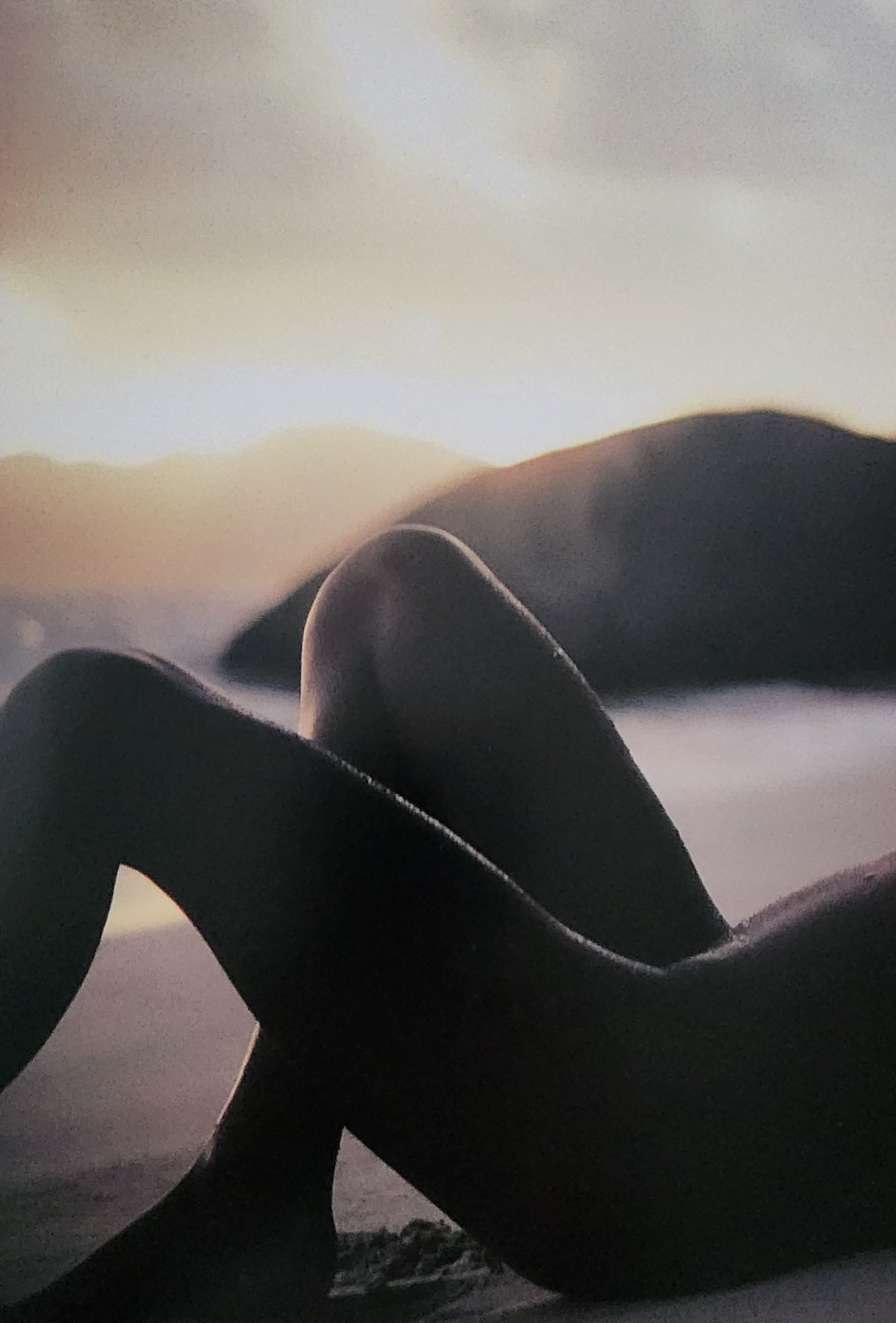Herbert W. Hesselman 'Erotica' 2006: Artist/Photographer: Herbert W. Hesselman Title/Subject: Erotica Type Of Print: Authentic Sheet Fed Photogravure/Heliogravure. Date Of Print: 2006 Paper: Medium weight, satin/matte finish. Print Origi