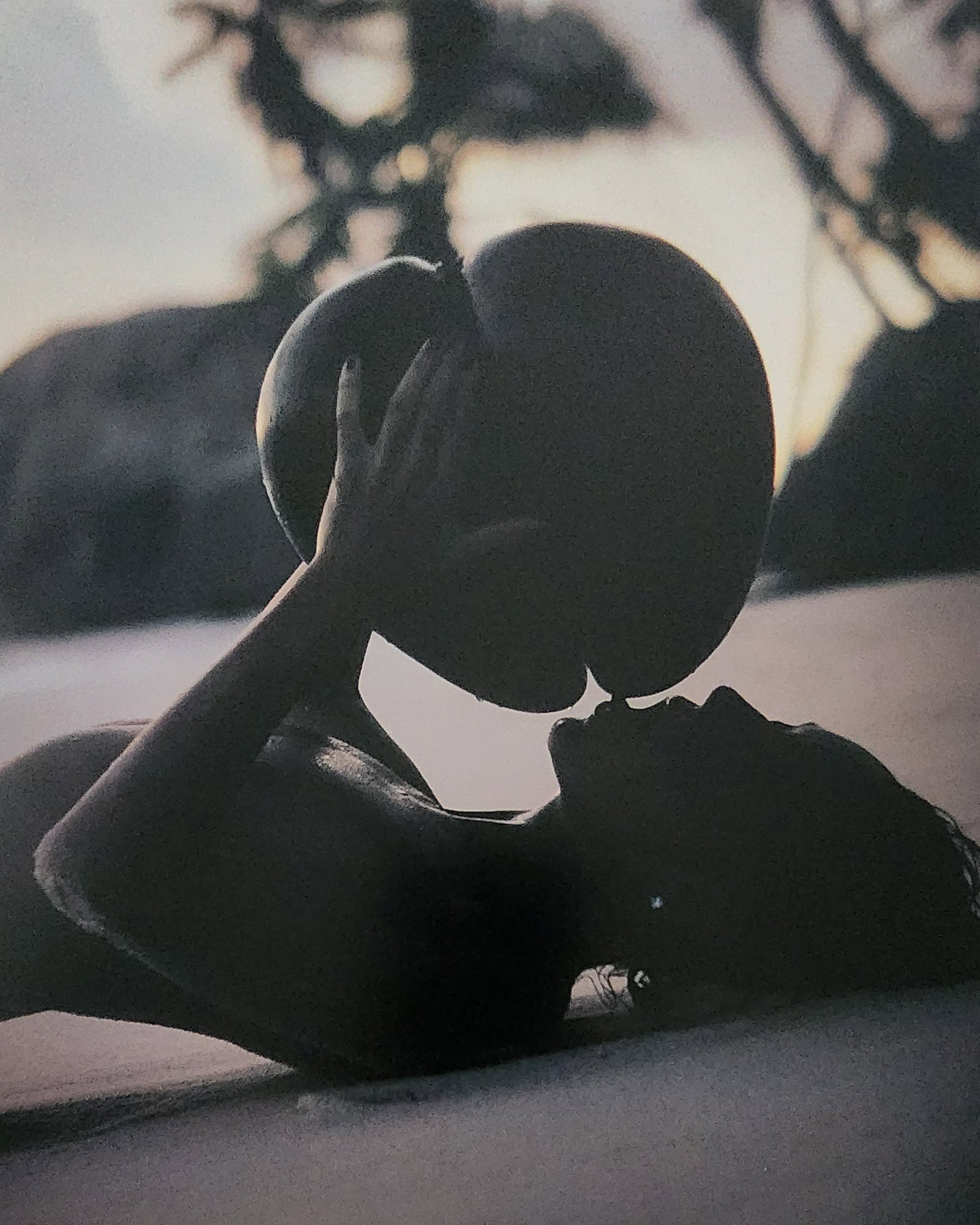 Herbert W. Hesselman 'Erotica' 2006: Artist/Photographer: Herbert W. Hesselman Title/Subject: Erotica Type Of Print: Authentic Sheet Fed Photogravure/Heliogravure. Date Of Print: 2006 Paper: Medium weight, satin/matte finish. Print Origi