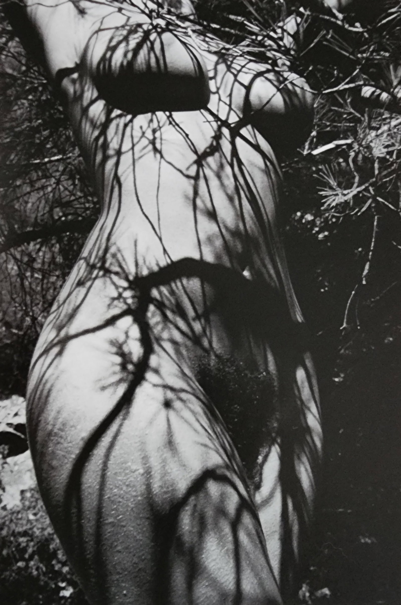 Lucien Clergue, 'Alpilles Francaises' 1973: Photographer: Lucien Clergue (France, 1934 - 2014) - renowned French photographer with a diverse body of work, he is perhaps best known for his dynamic female nude studies in and around water which of