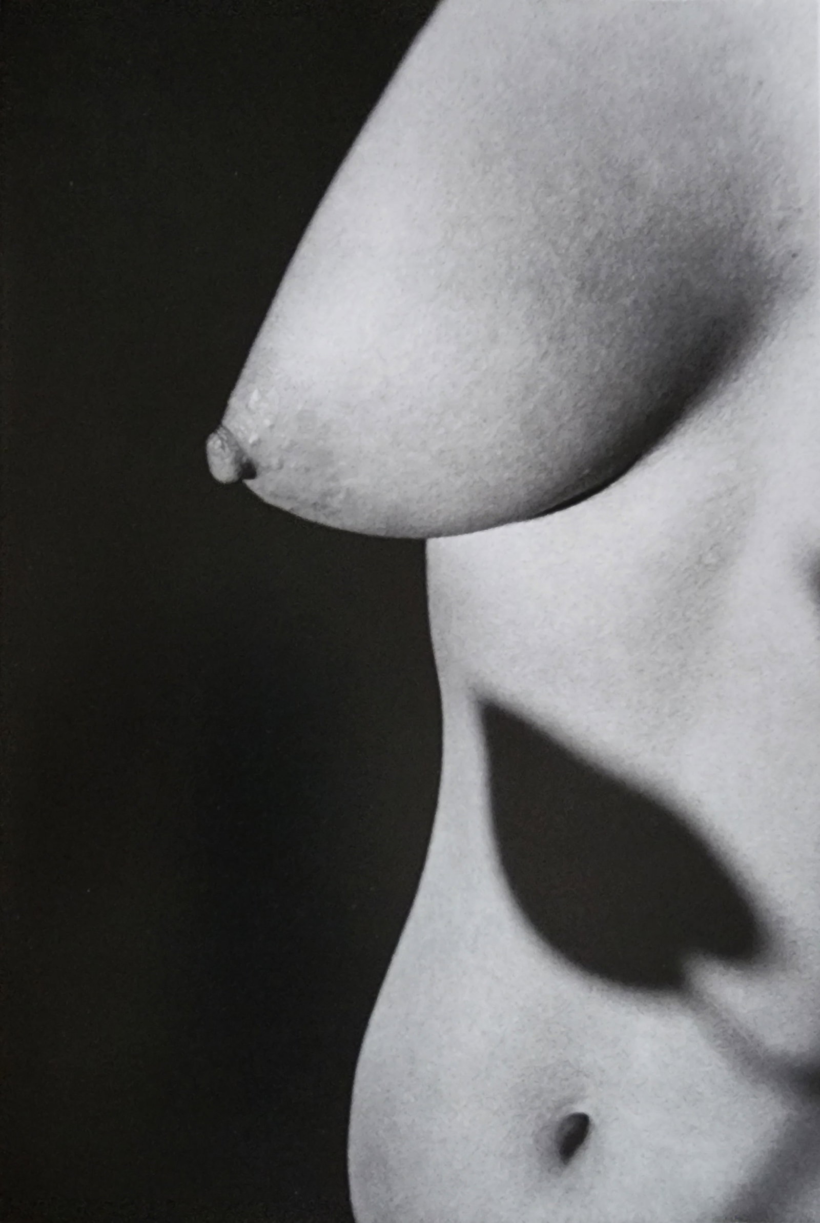 Lucien Clergue, 'Alpilles Francaises' 1973: Photographer: Lucien Clergue (France, 1934 - 2014) - renowned French photographer with a diverse body of work, he is perhaps best known for his dynamic female nude studies in and around water which of