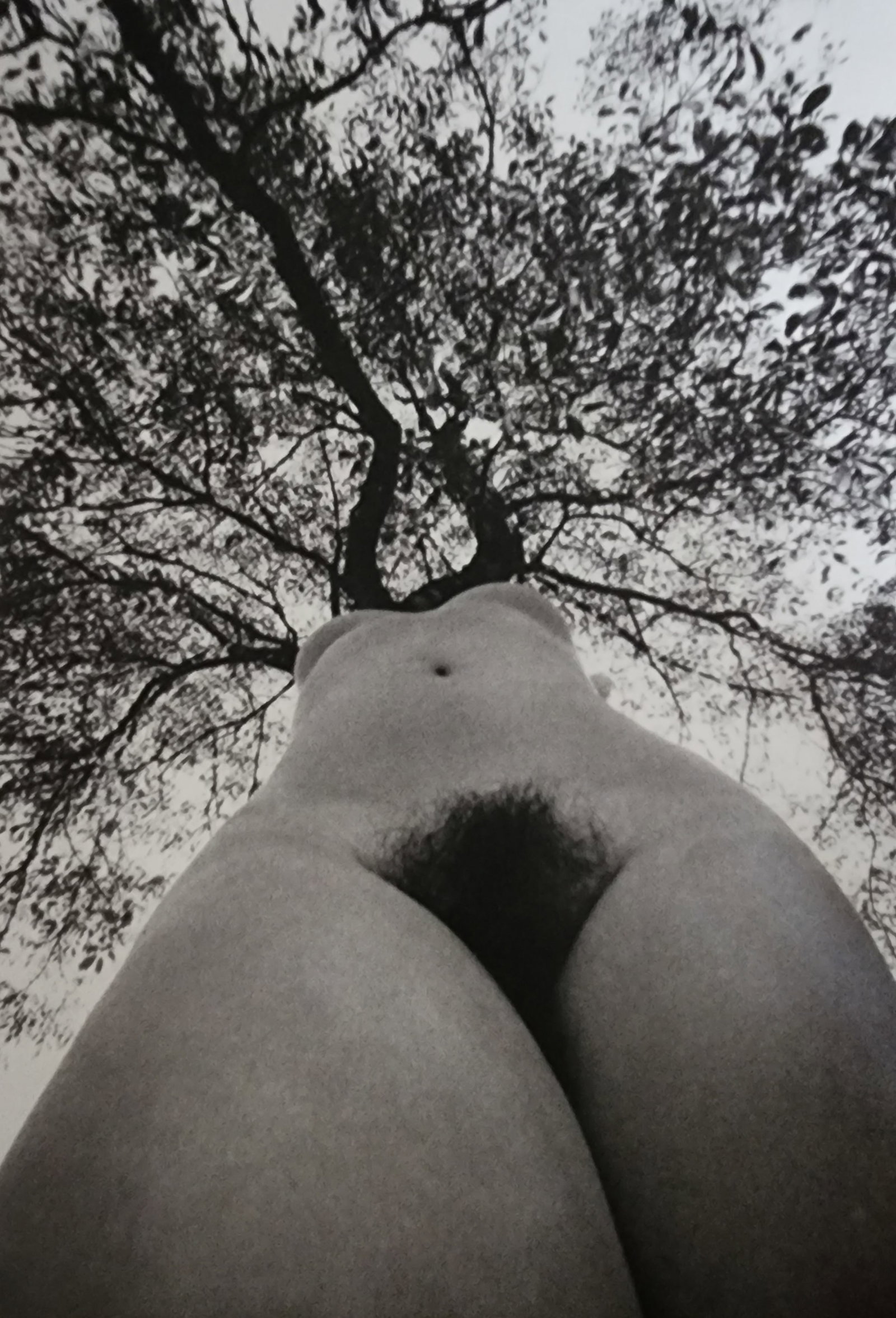 Lucien Clergue, 'Alpilles Francaises' 1973: Photographer: Lucien Clergue (France, 1934 - 2014) - renowned French photographer with a diverse body of work, he is perhaps best known for his dynamic female nude studies in and around water which of