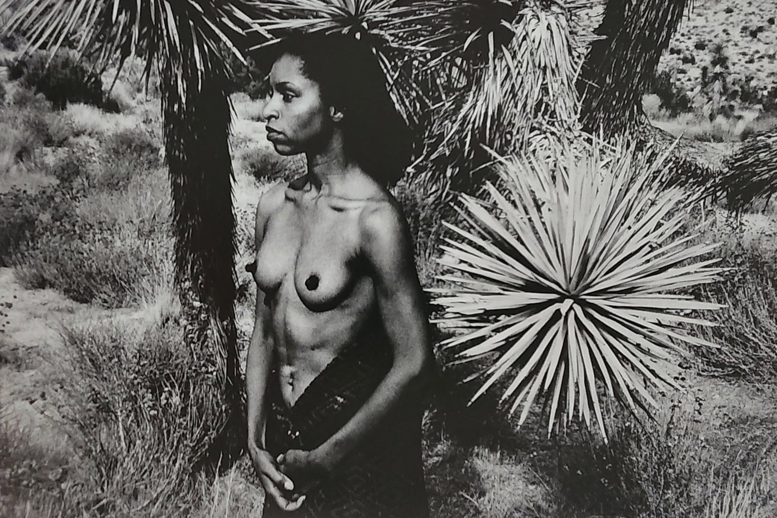 Lucien Clergue, 'Alpilles Francaises' 1973: Photographer: Lucien Clergue (France, 1934 - 2014) - renowned French photographer with a diverse body of work, he is perhaps best known for his dynamic female nude studies in and around water which of