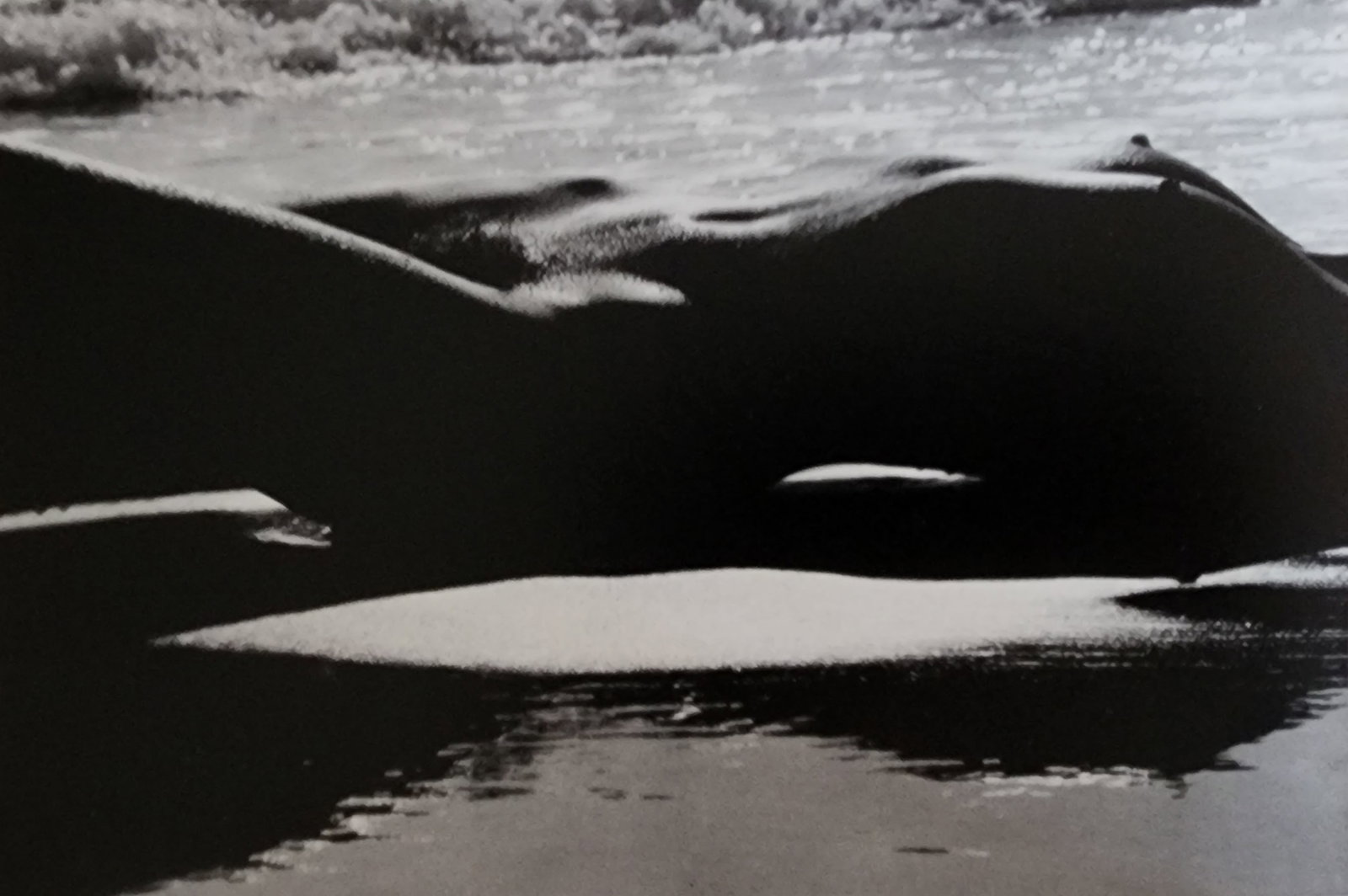 Lucien Clergue, 'Alpilles Francaises' 1973: Photographer: Lucien Clergue (France, 1934 - 2014) - renowned French photographer with a diverse body of work, he is perhaps best known for his dynamic female nude studies in and around water which of