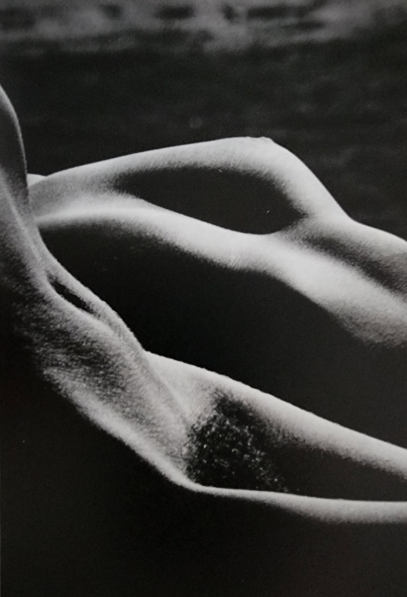 Lucien Clergue, 'Alpilles Francaises' 1973: Photographer: Lucien Clergue (France, 1934 - 2014) - renowned French photographer with a diverse body of work, he is perhaps best known for his dynamic female nude studies in and around water which of