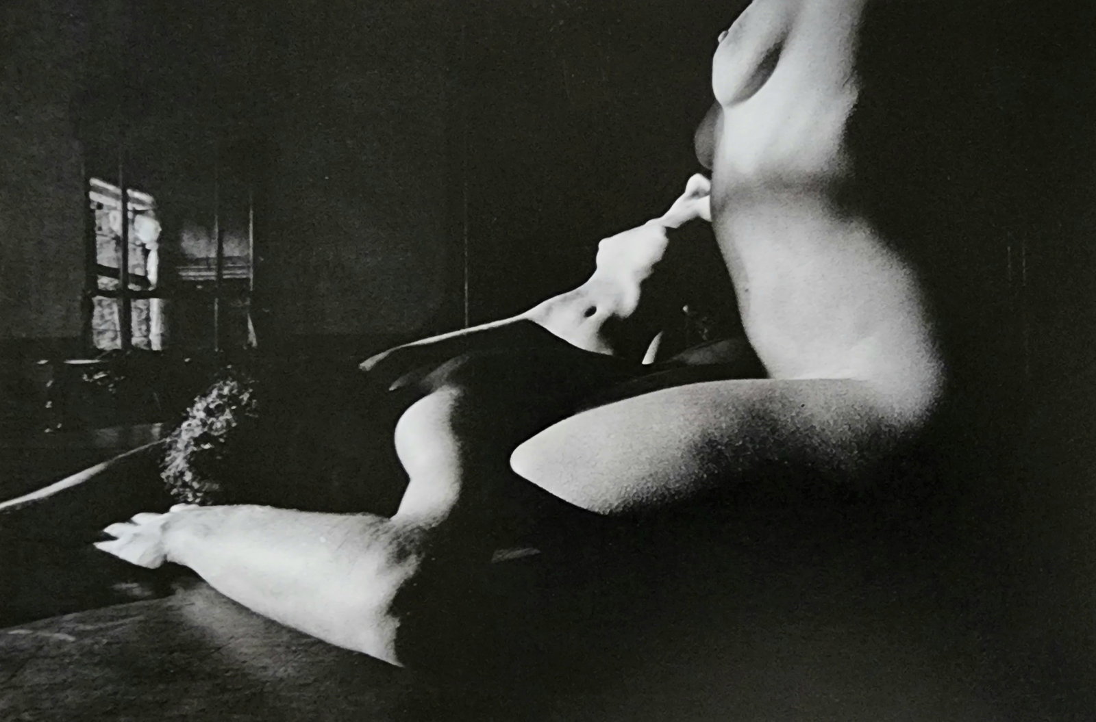 Lucien Clergue, 'Alpilles Francaises' 1973: Photographer: Lucien Clergue (France, 1934 - 2014) - renowned French photographer with a diverse body of work, he is perhaps best known for his dynamic female nude studies in and around water which of