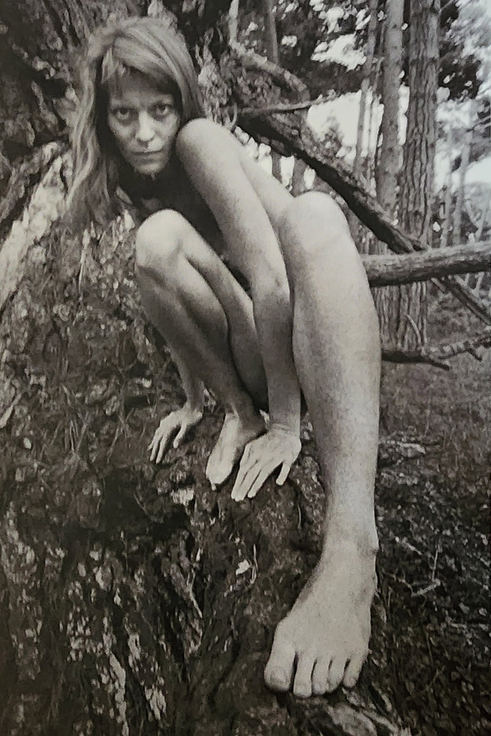 Lucien Clergue, 'Alpilles Francaises' 1973: Photographer: Lucien Clergue (France, 1934 - 2014) - renowned French photographer with a diverse body of work, he is perhaps best known for his dynamic female nude studies in and around water which of