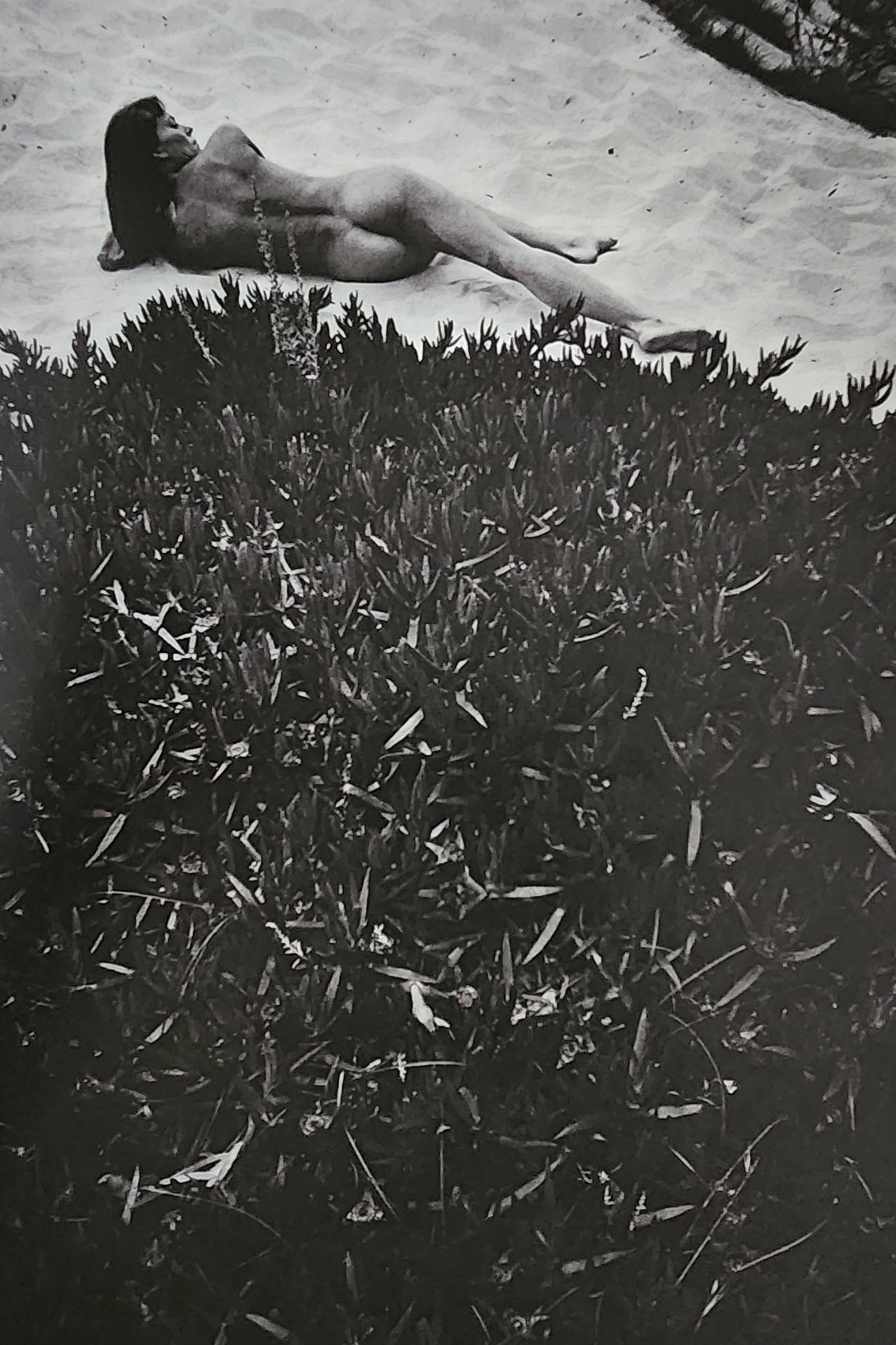 Lucien Clergue, 'Alpilles Francaises' 1973: Photographer: Lucien Clergue (France, 1934 - 2014) - renowned French photographer with a diverse body of work, he is perhaps best known for his dynamic female nude studies in and around water which of