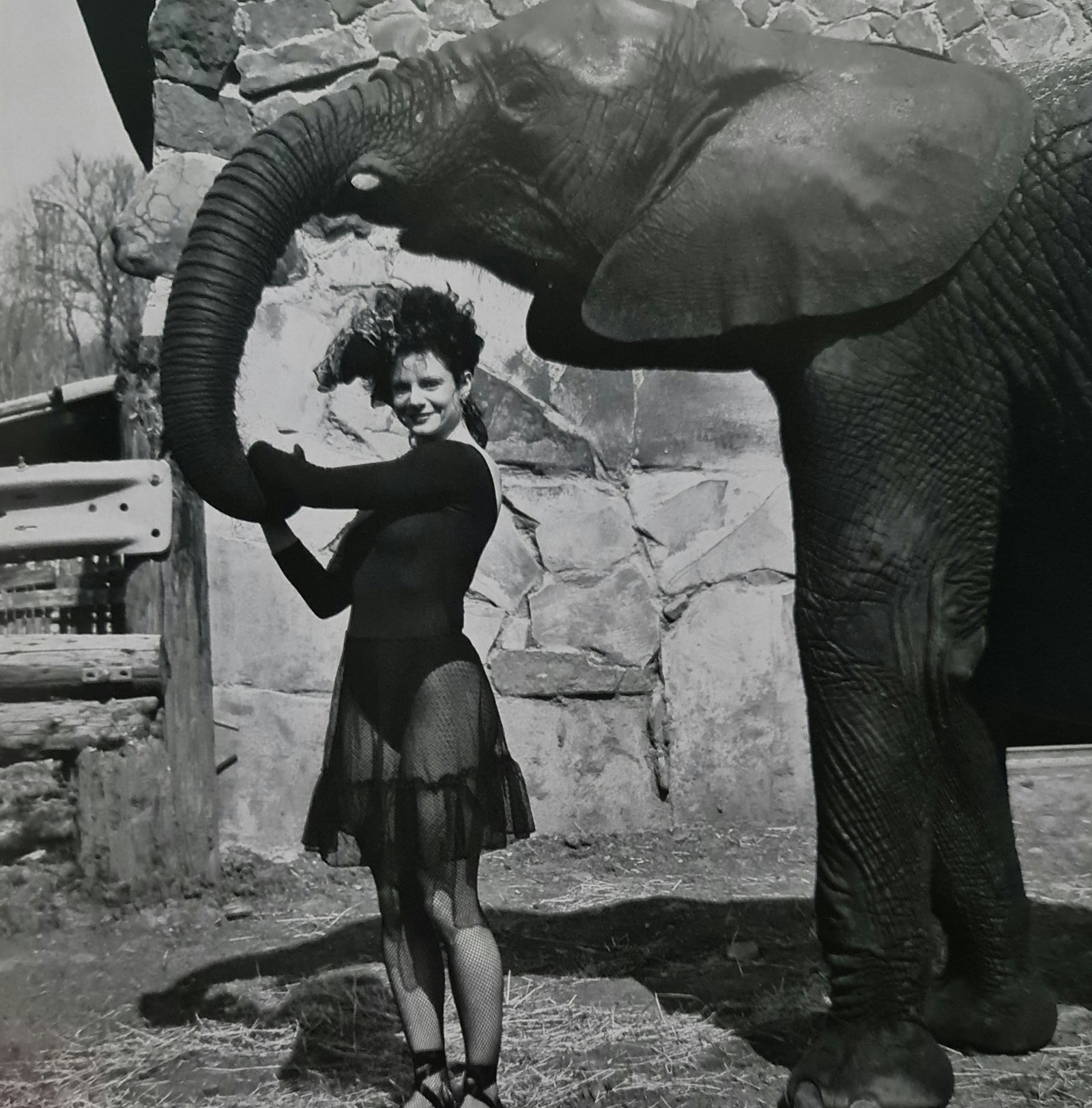 Robert Mapplethorpe, Lisa Lyon, Elephant Tamer: Photographer: Robert Michael Mapplethorpe (1946-1989) was an American photographer, best known for his black-and-white photographs. His work featured an array of subjects, including celebrity portrait