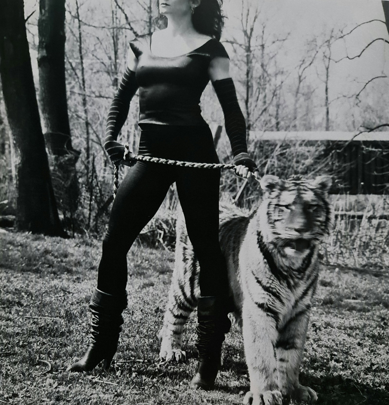Robert Mapplethorpe, Lisa Lyon, La Tigra: Photographer: Robert Michael Mapplethorpe (1946-1989) was an American photographer, best known for his black-and-white photographs. His work featured an array of subjects, including celebrity portrait