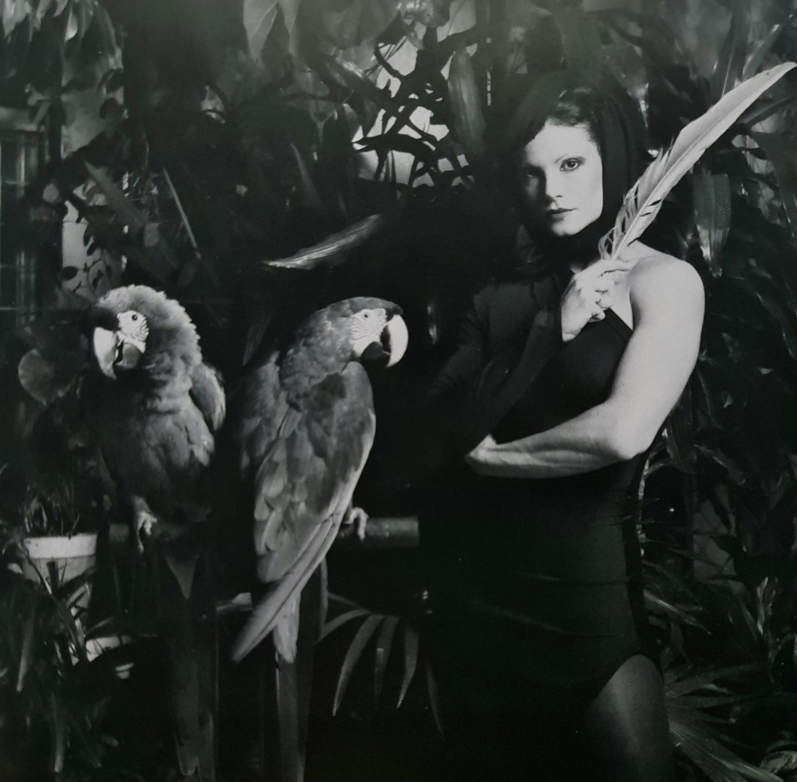Robert Mapplethorpe, Lisa Lyon, queen of the parrots: Photographer: Robert Michael Mapplethorpe (1946-1989) was an American photographer, best known for his black-and-white photographs. His work featured an array of subjects, including celebrity portrait