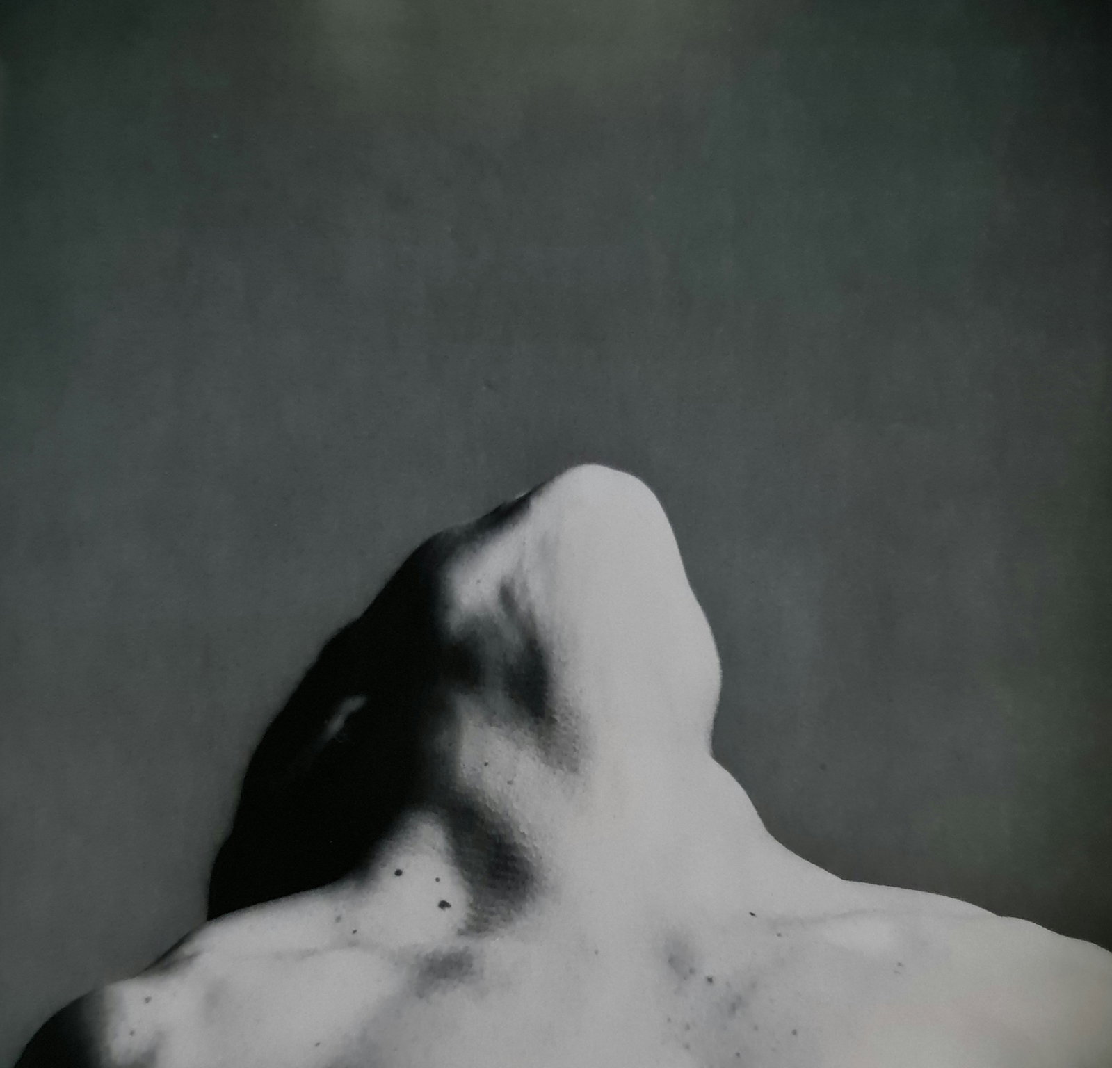 Robert Mapplethorpe, Lisa Lyon's neck: Photographer: Robert Michael Mapplethorpe (1946-1989) was an American photographer, best known for his black-and-white photographs. His work featured an array of subjects, including celebrity portrait