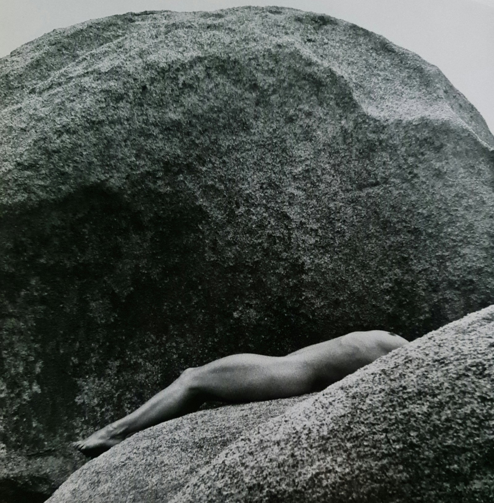 Robert Mapplethorpe, Lyon on the rocks: Photographer: Robert Michael Mapplethorpe (1946-1989) was an American photographer, best known for his black-and-white photographs. His work featured an array of subjects, including celebrity portrait