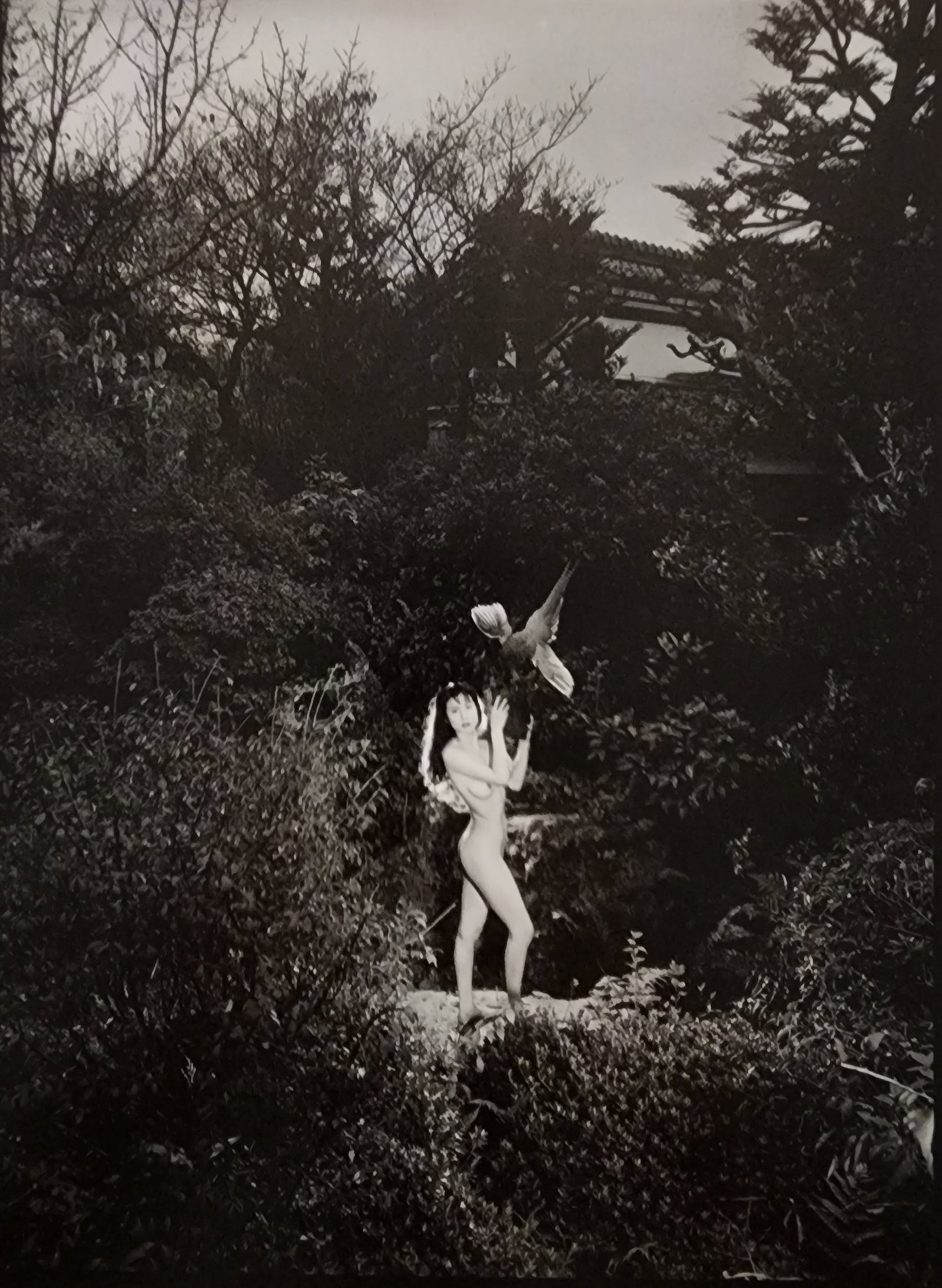 Hideki Fujii Master Photography Set (1 of 1)