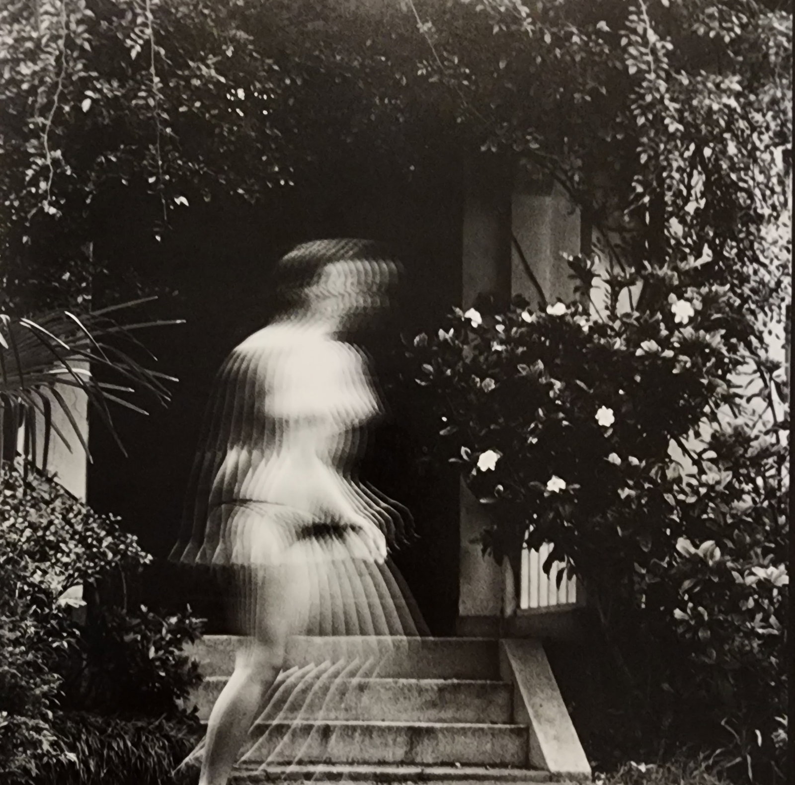 Hideki Fujii Master Photography Set: Artist/Photographer: Hideki Fujii Title/Subject: Master Photography Set Type: Photogravure/Heliogravure. Date Of Print: 1992 Paper: Medium weight, satin/matte finish. Print Origin: Japan Approximate I