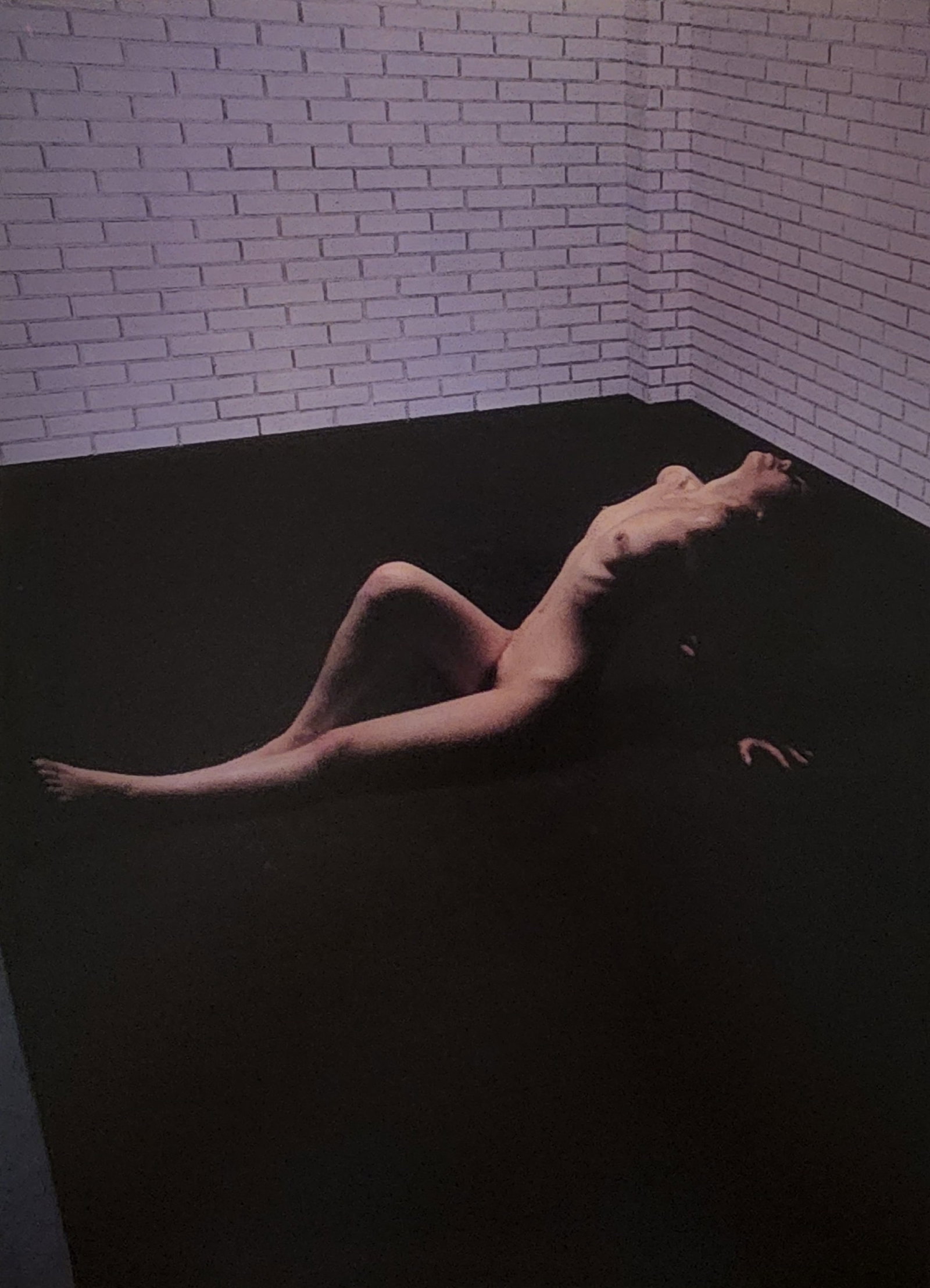Hideki Fujii Master Photography Set: Artist/Photographer: Hideki Fujii Title/Subject: Master Photography Set Type: Photogravure/Heliogravure. Date Of Print: 1992 Paper: Medium weight, satin/matte finish. Print Origin: Japan Approximate I