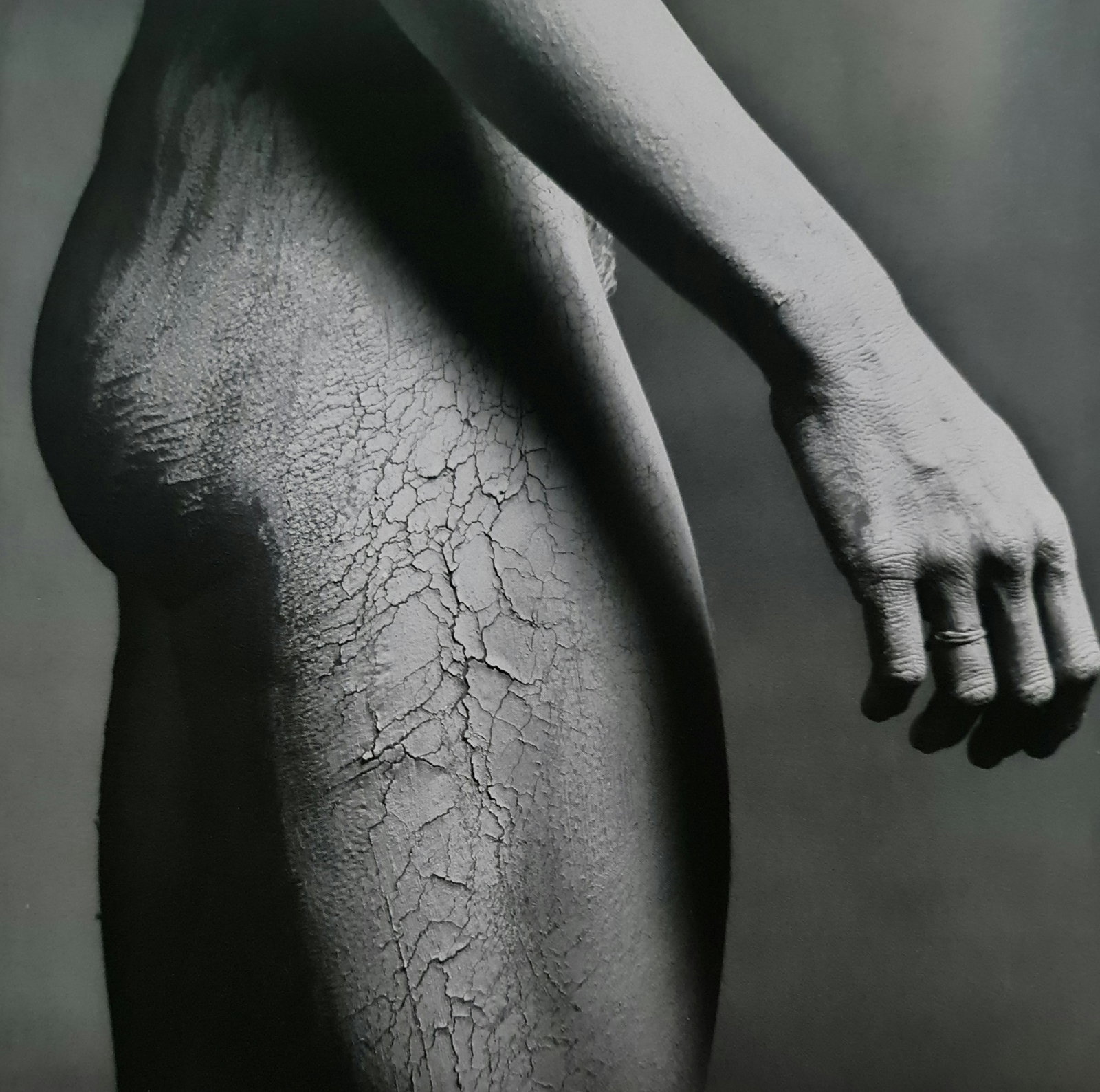 Robert Mapplethorpe, Lisa Lyon side, 1983: Photographer: Robert Michael Mapplethorpe (1946-1989) was an American photographer, best known for his black-and-white photographs. His work featured an array of subjects, including celebrity portrait