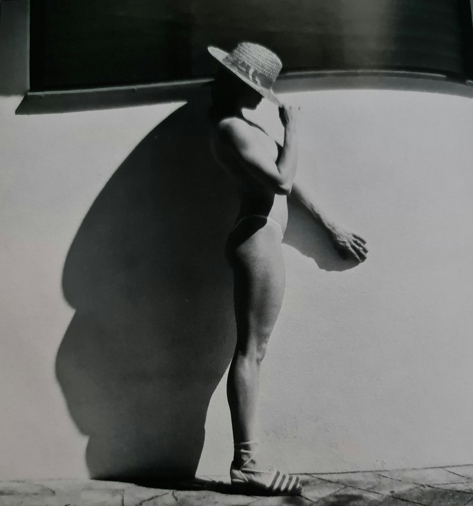Robert Mapplethorpe, Lisa Lyon topless: Photographer: Robert Michael Mapplethorpe (1946-1989) was an American photographer, best known for his black-and-white photographs. His work featured an array of subjects, including celebrity portrait