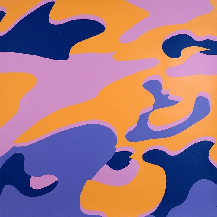 Andy Warhol, (After) Camouflage FSII 410 Portfolio: Andy Warhol, (After) Camouflage FSII 410 Portfolio Silkscreen, on Lenox Museum Board Images size 38 x 38 in This work is an unsigned and Unnumbered Printer's proof, outside of the edition Printed by R