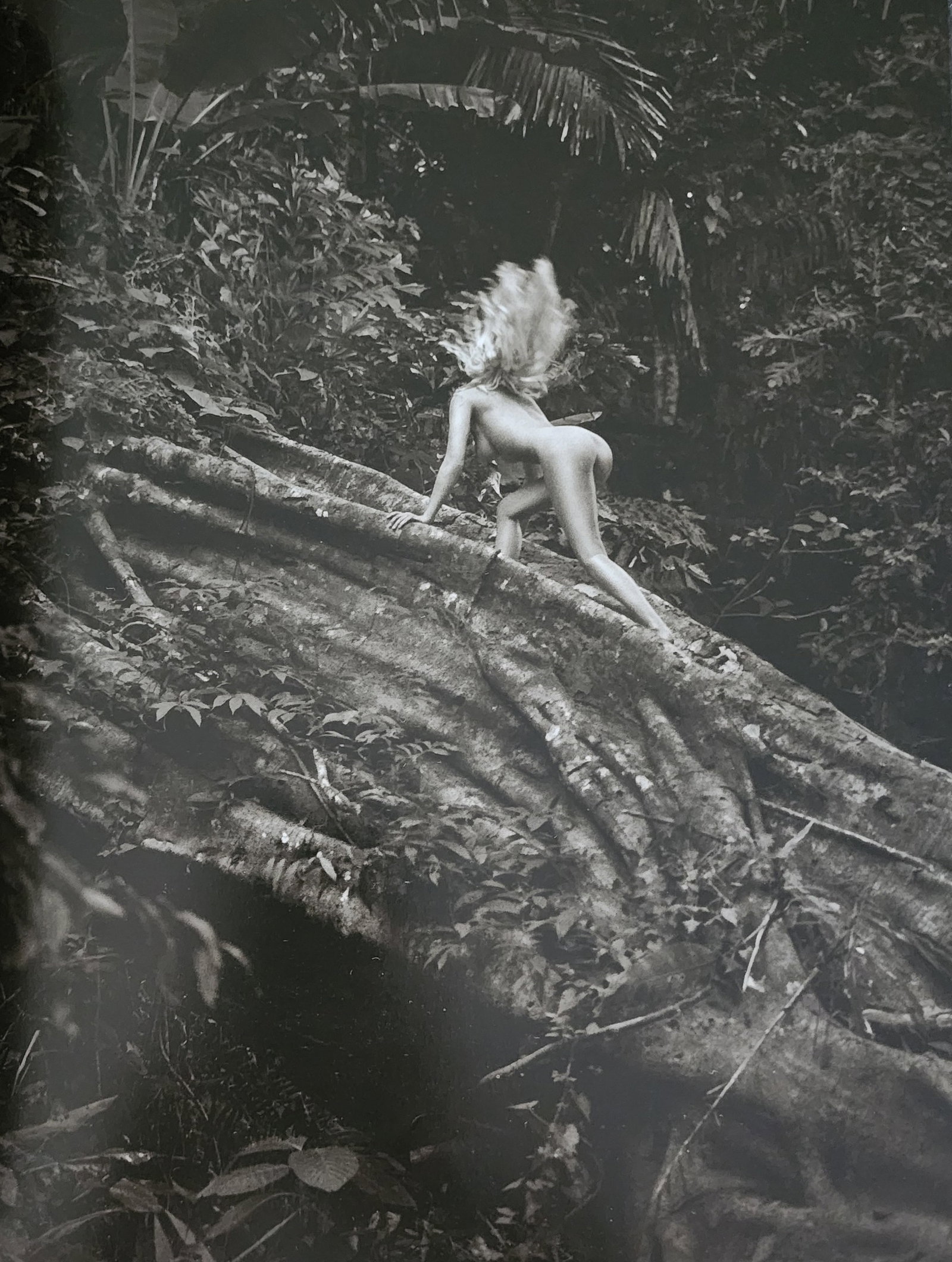 Andreas H. Bitesnich, 'Woman' 2001: Photographer: Andreas H. Bitesnich is an Austrian photographer and musician. He specializes in nude and portrait photography. His work appears regularly in international magazines. Title/Subject: Woma