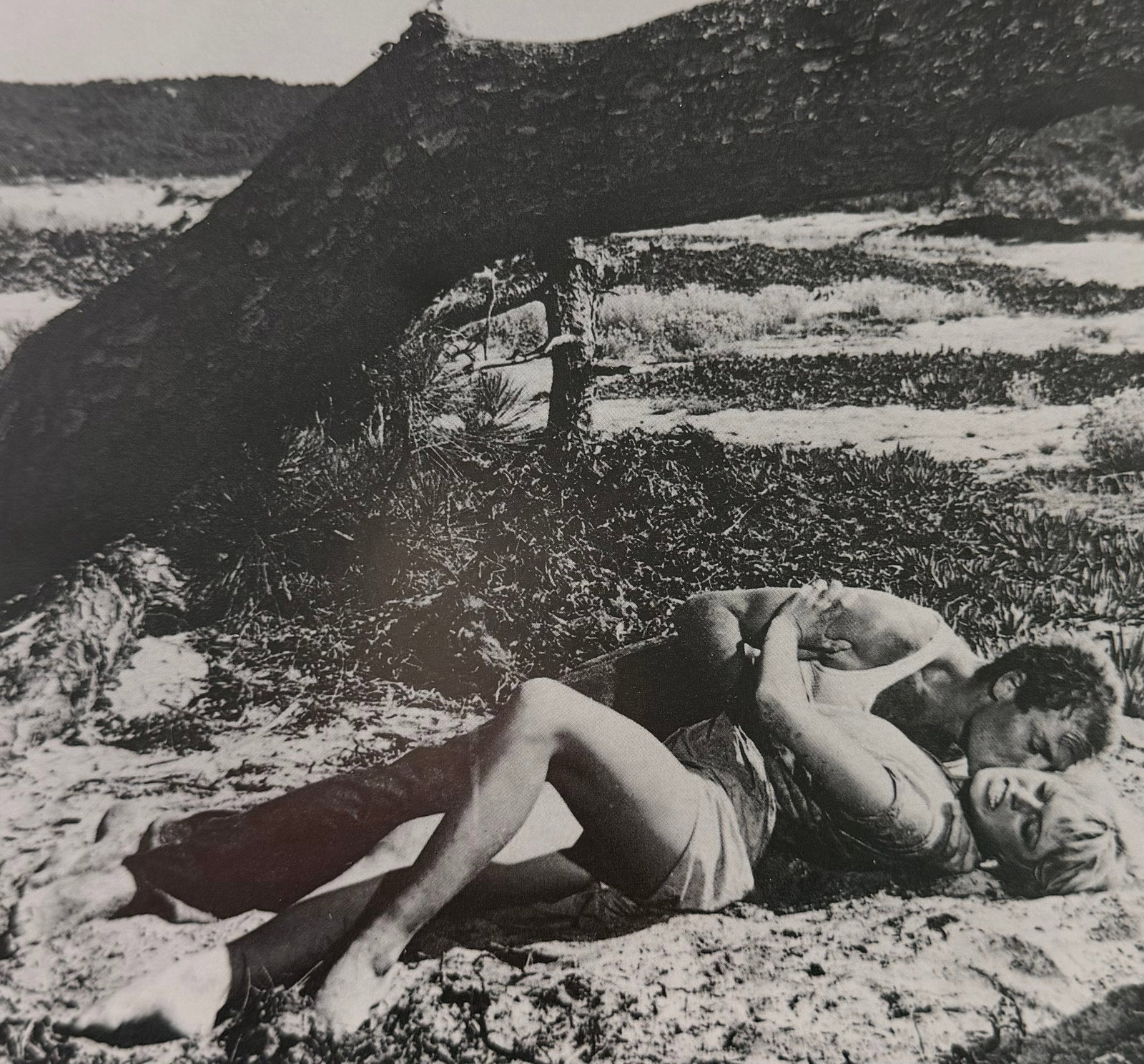 Brigitte Bardot, For ever young, 1994: Model: Brigitte Bardot Title/Subject: For ever young Type Of Print: Photogravure/Heliogravure.. Date Of Print: 1994 Paper: Medium weight, satin/matte finish. Print Origin: UK Approximate Image Size: 7