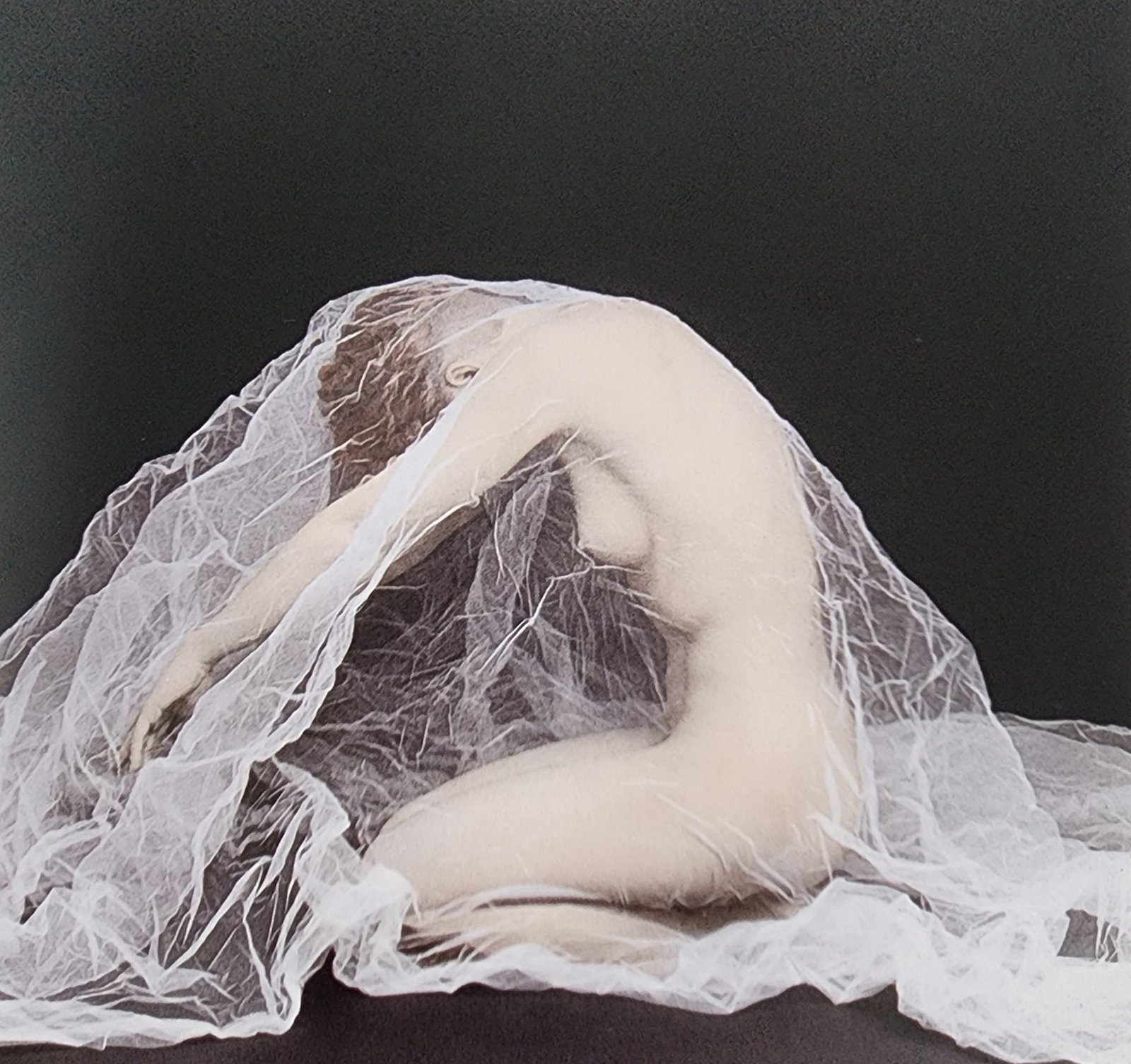 Elegant Nudes and Models, 1995: Artist/Photographer: Various Photographers Title/Subject: Elegant Nudes and Models Type Of Print: Photogravure/Heliogravure.. Date Of Print: 1995 Paper: Medium weight, satin/matte finish. Print Origin