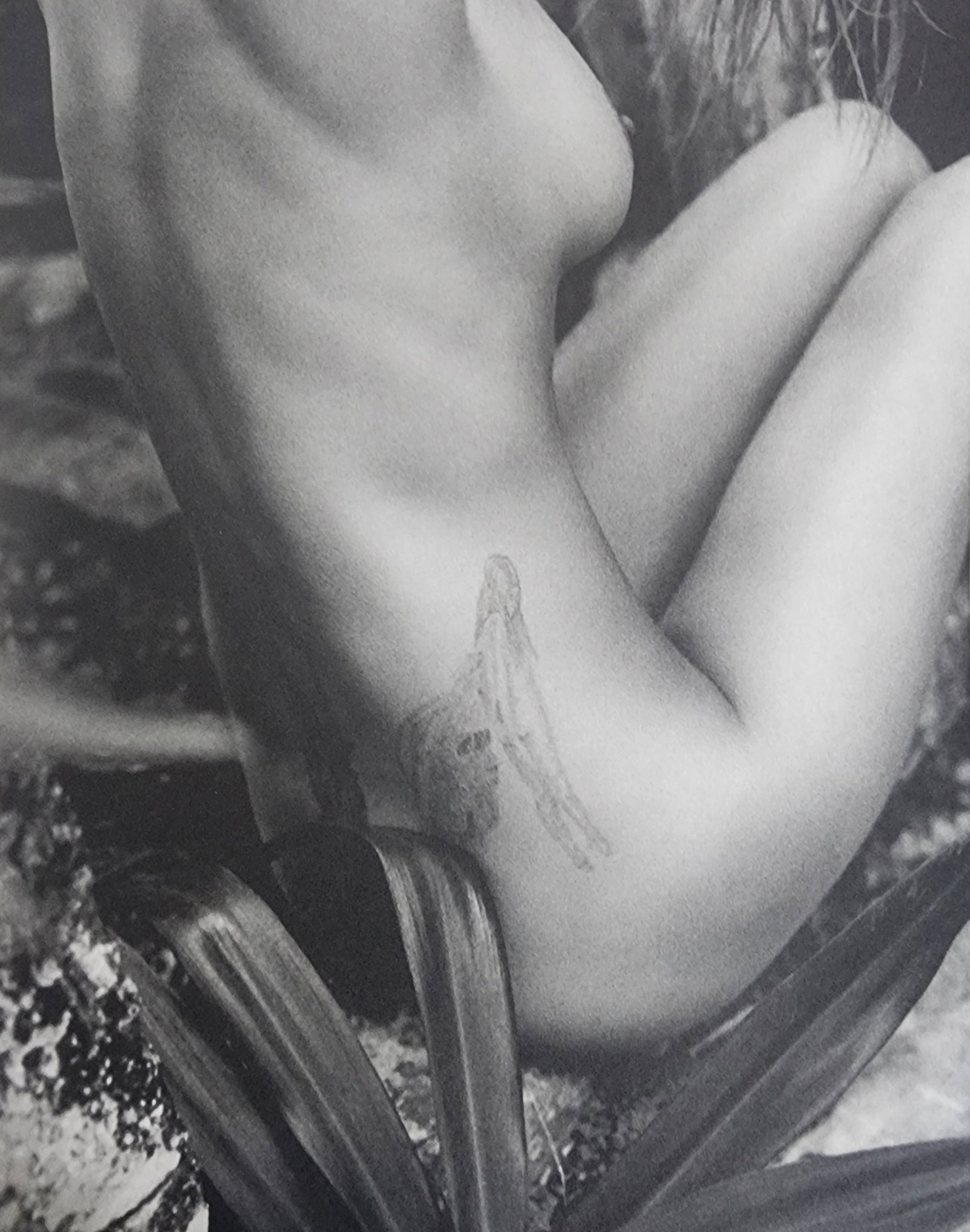 Sante D'Orazio, Celebrities nudes 1st Edition, 2000 (1 of 1)