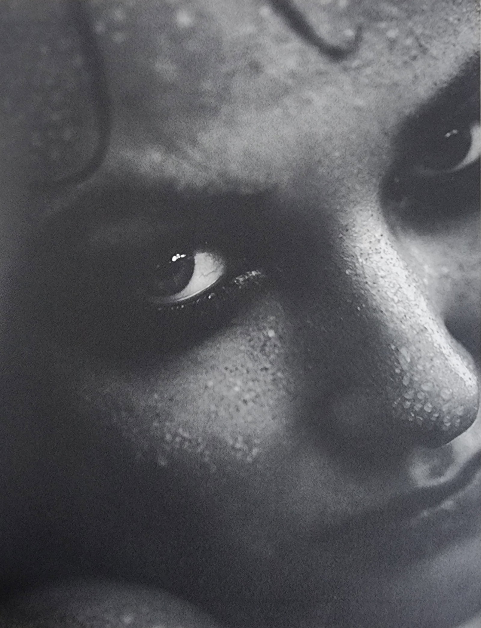 Sante D'Orazio, Celebrities nudes 1st Edition, 2000: Artist/Photographer: Sante D'Orazio Title/Subject: Celebrities nudes Type Of Print: Authentic Sheet Fed Photogravure/Heliogravure. Date Of Print: 2000, 1st edition Paper: Medium weight, satin/matte fi