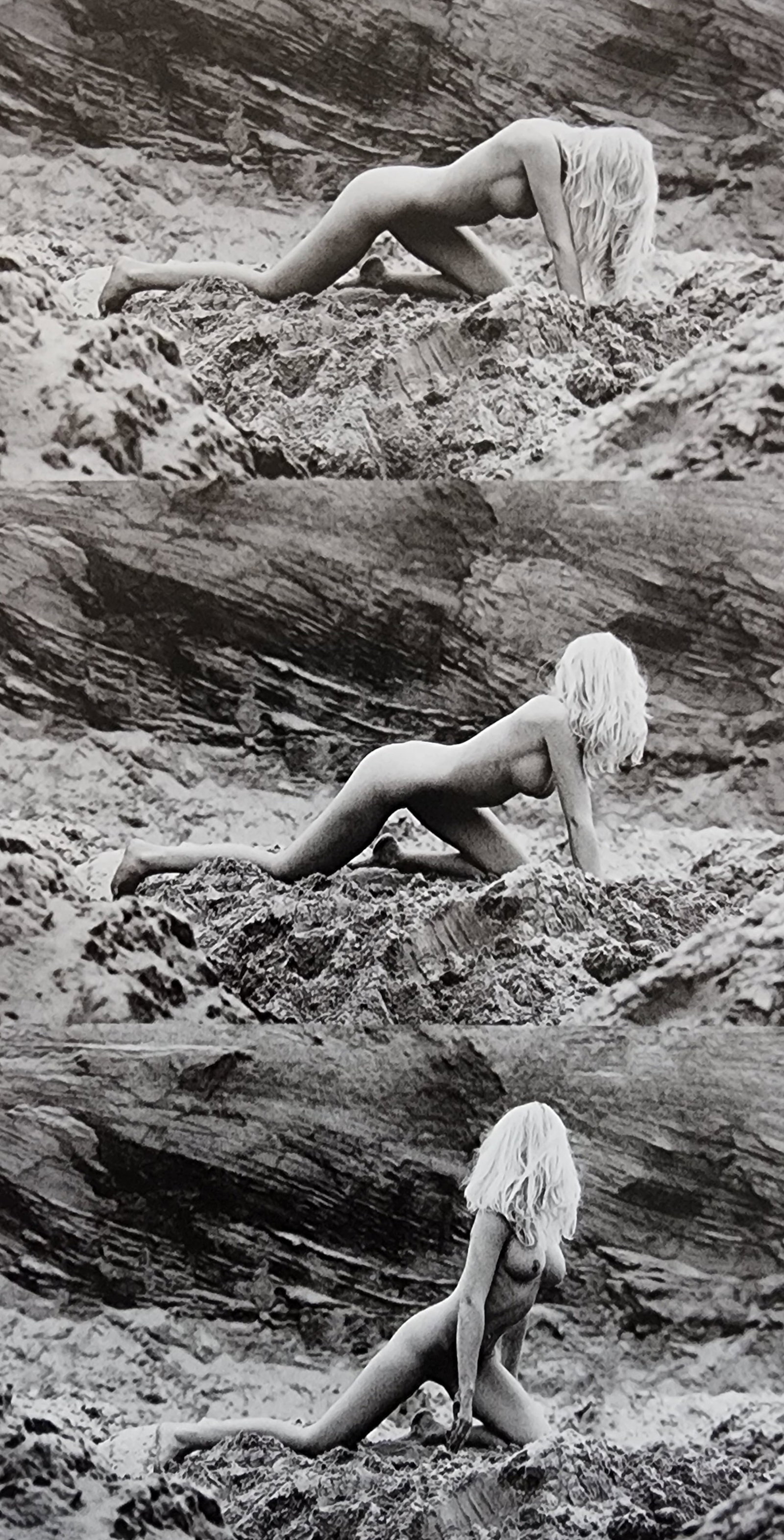 Michelle Olley, Blondes have more fun, 2002: Artist/Photographer: Michelle Olley Title/Subject: Blondes have more fun Type Of Print: Authentic Sheet Fed Photogravure/Heliogravure. Date Of Print: 2002 Paper: Medium weight, satin/matte finish. Pri