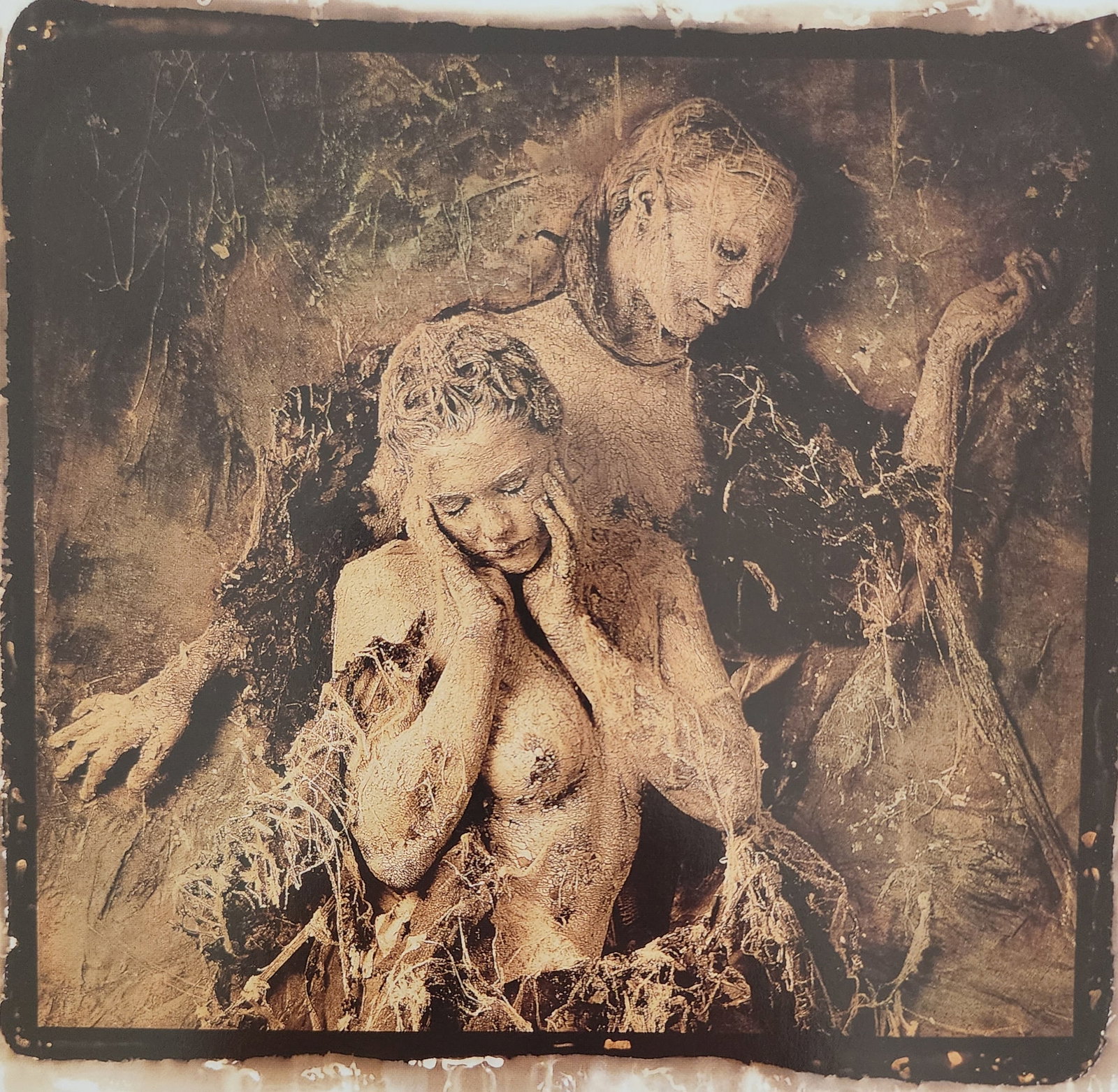 The World's Top Nude Photograhpy, 2007: Artist/Photographer: Various Photogrphers Title/Subject: The World's Top Nude Photograhpy Type Of Print: Photogravure/Heliogravure.. Date Of Print: 2007 Paper: Medium weight, satin/matte finish. Print