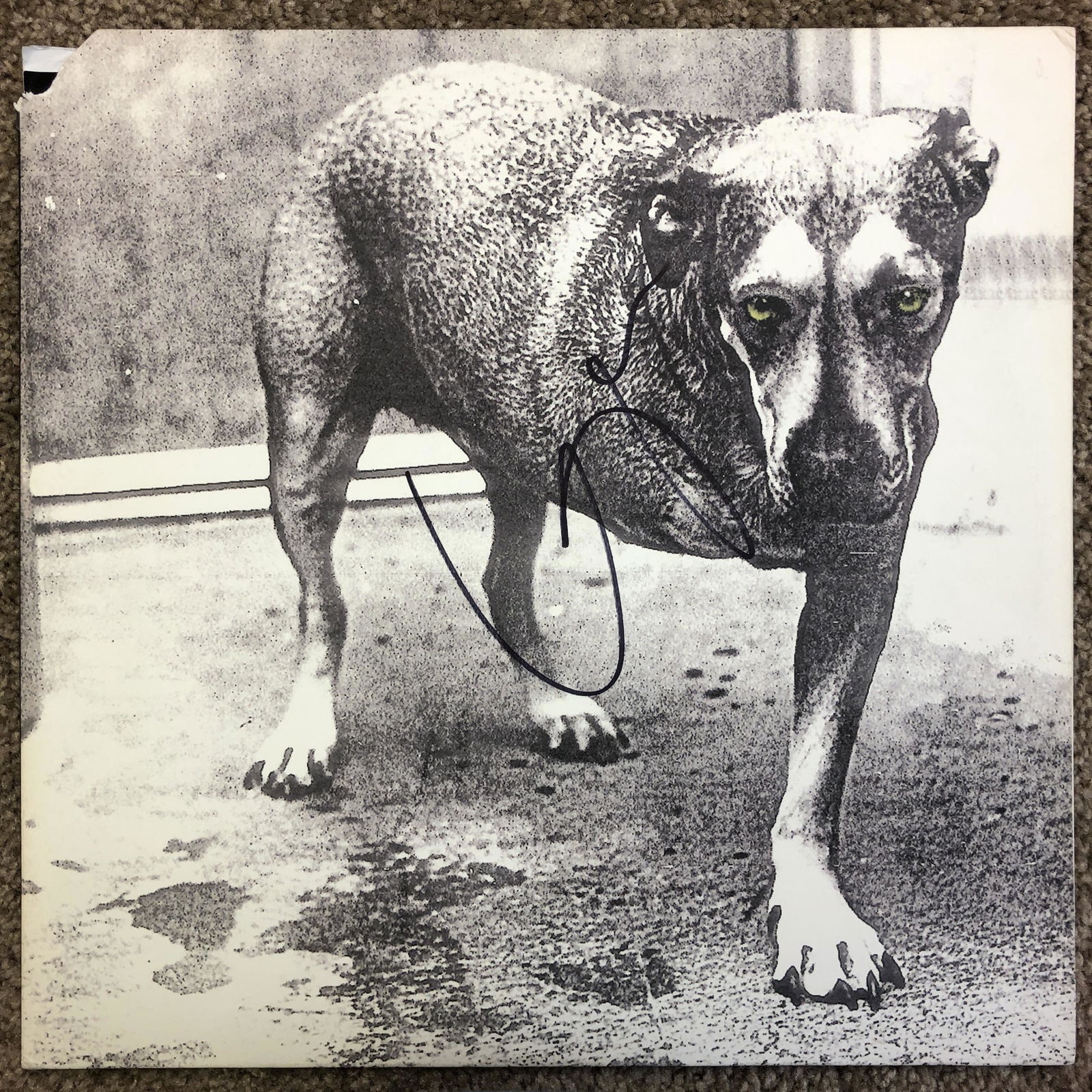 Autographed Alice in Chains album cover, Layne Staley (1 of 1)