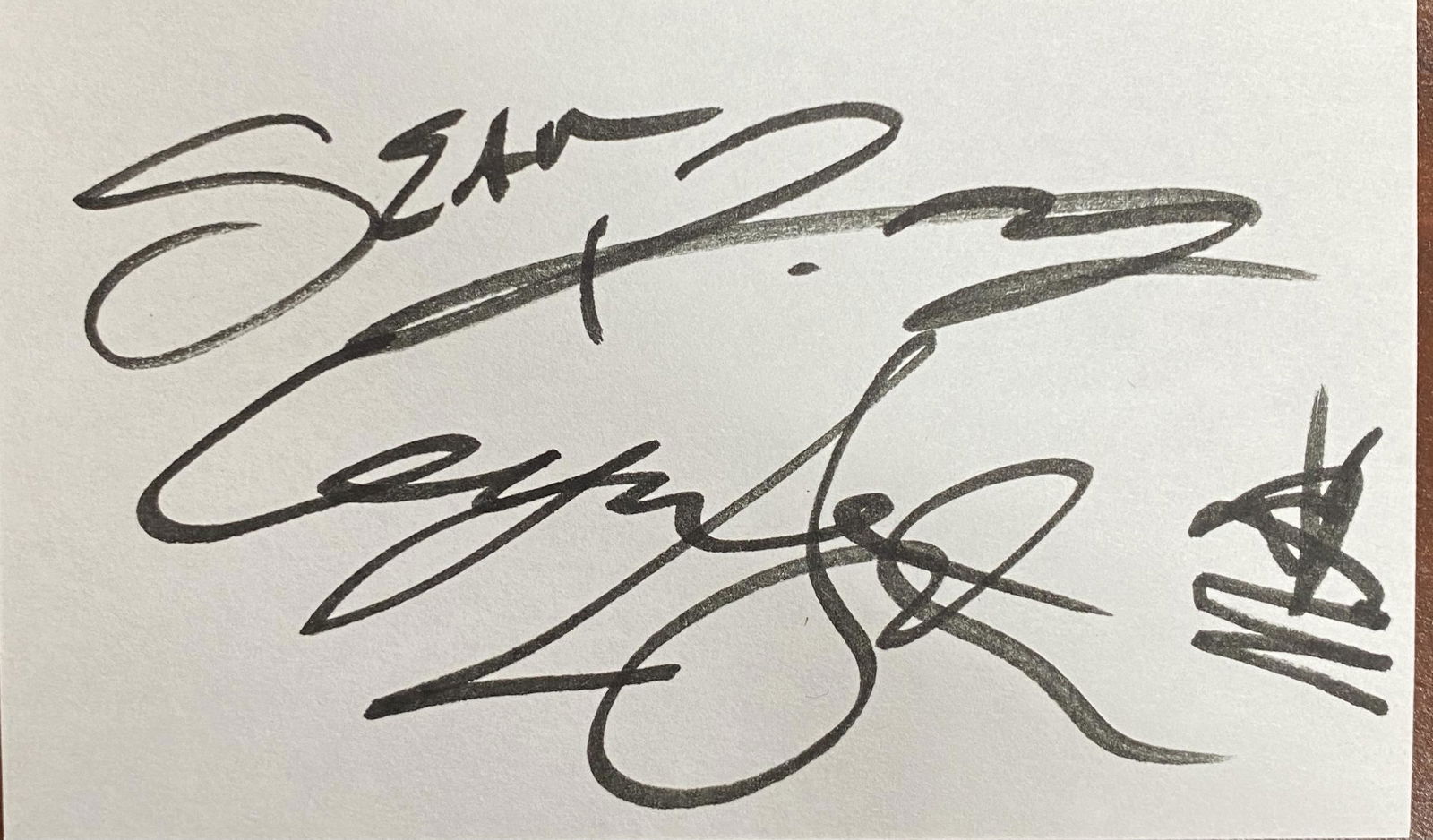 Alice in Chains Autographed LAYNE MIKE STARR (1 of 1)