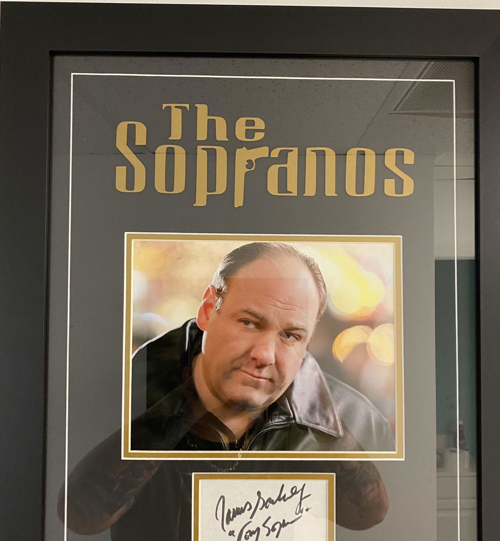 Tony Soprano Autographed Card Custom Framed! (1 of 1)