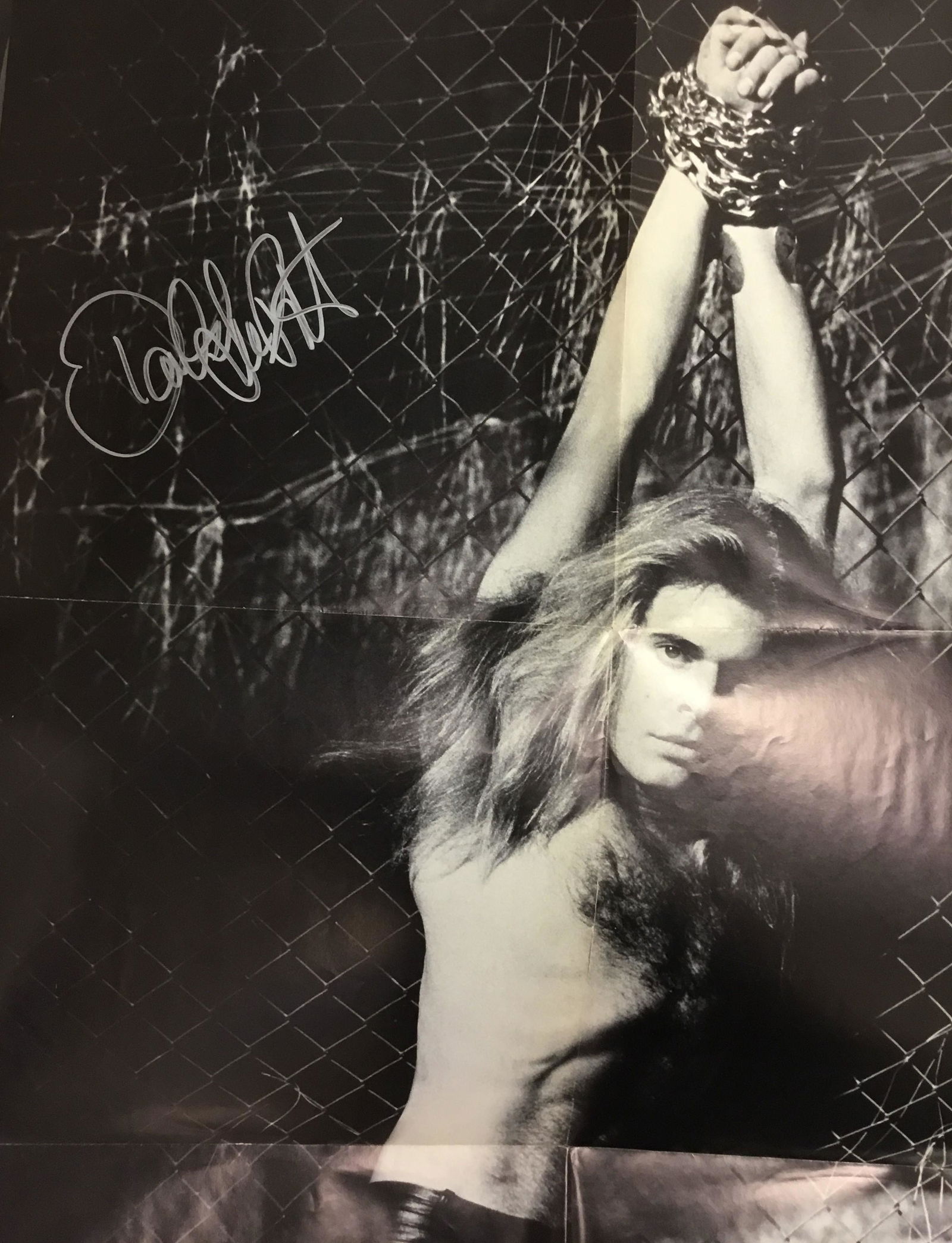 David Lee  Roth Autographed Poster (1 of 1)