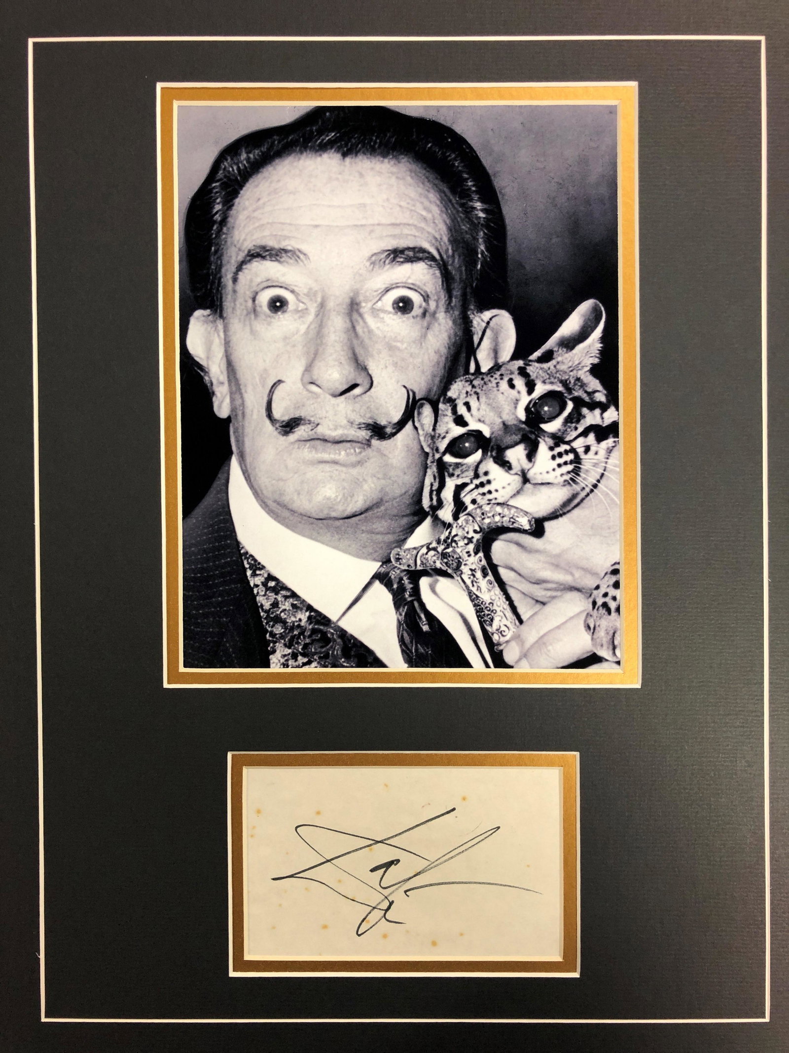 Salvador Dali Autograph Display (1 of 1)