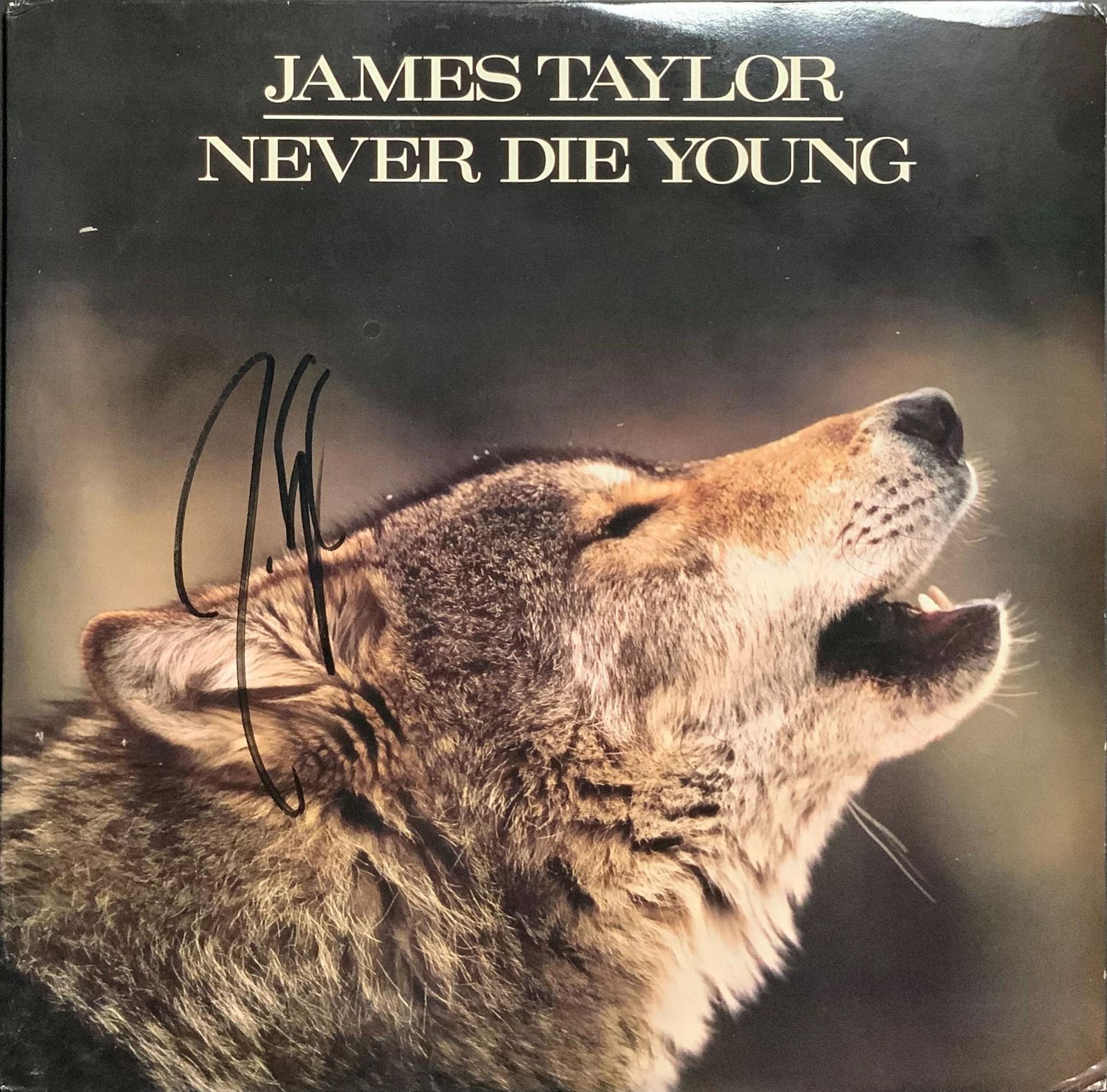 James Taylor Autographed Album Cover (1 of 1)